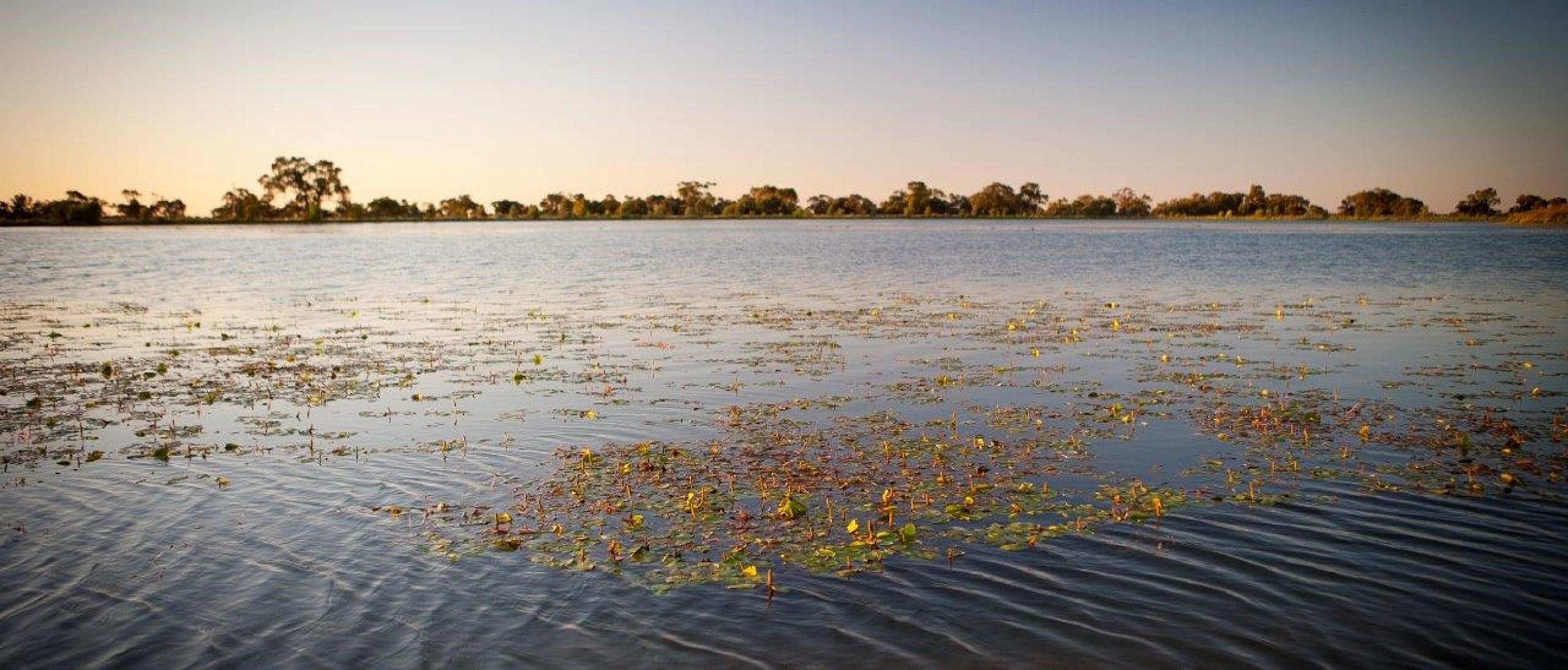 Moulamein Lake