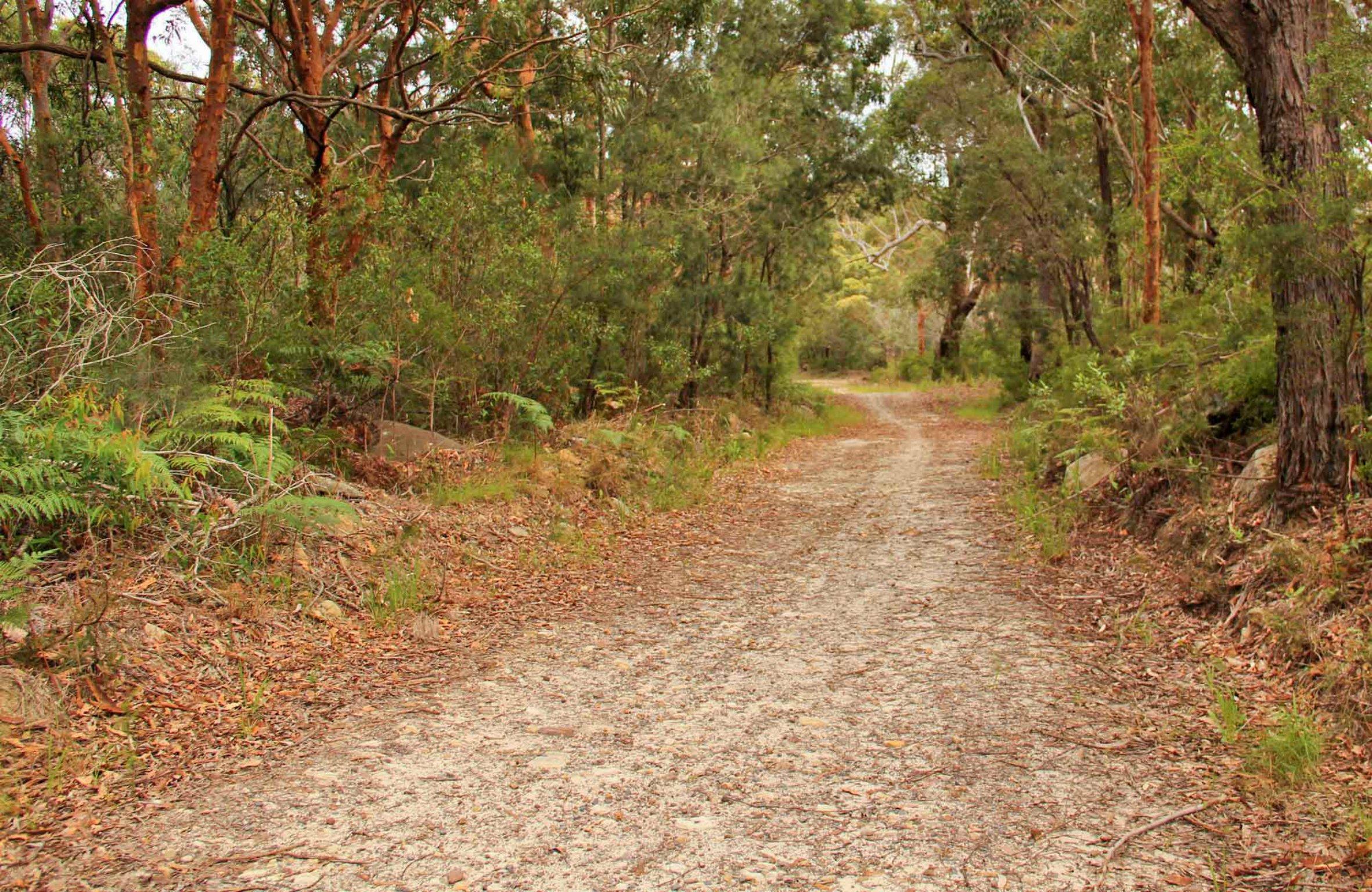 Daleys Point Walking Track