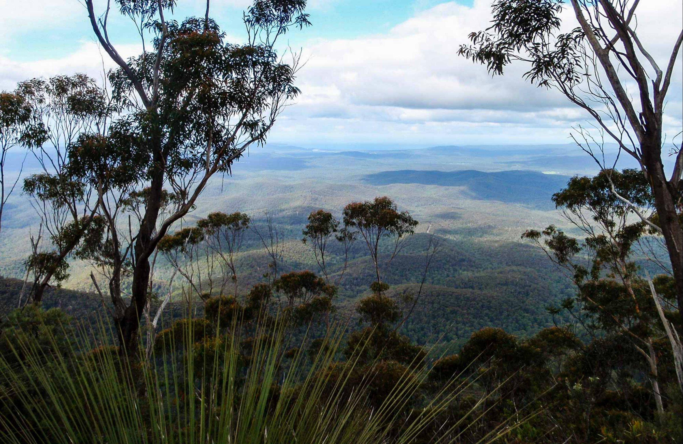 Mount Imlay Summit Walking Track