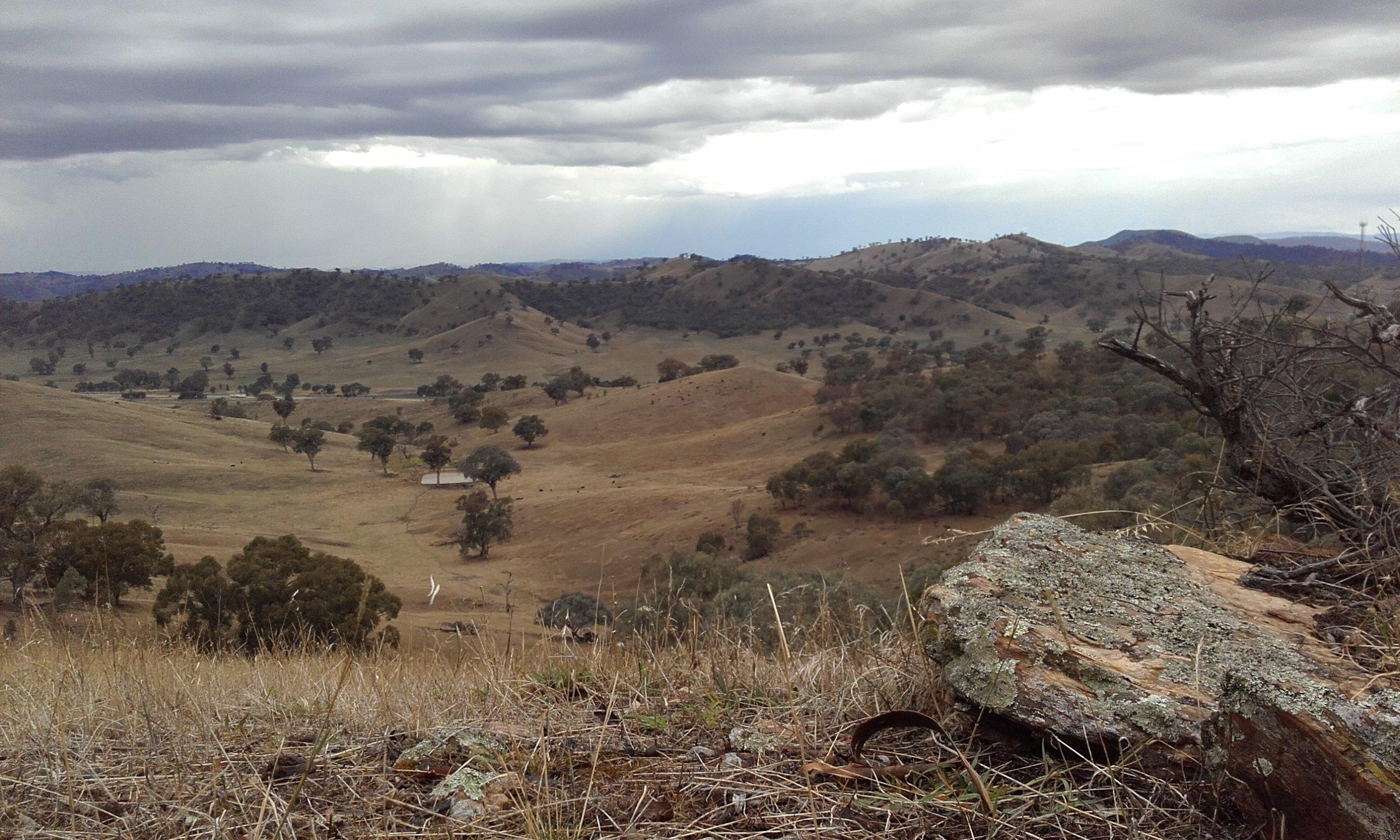 Gundagai Gold Trails