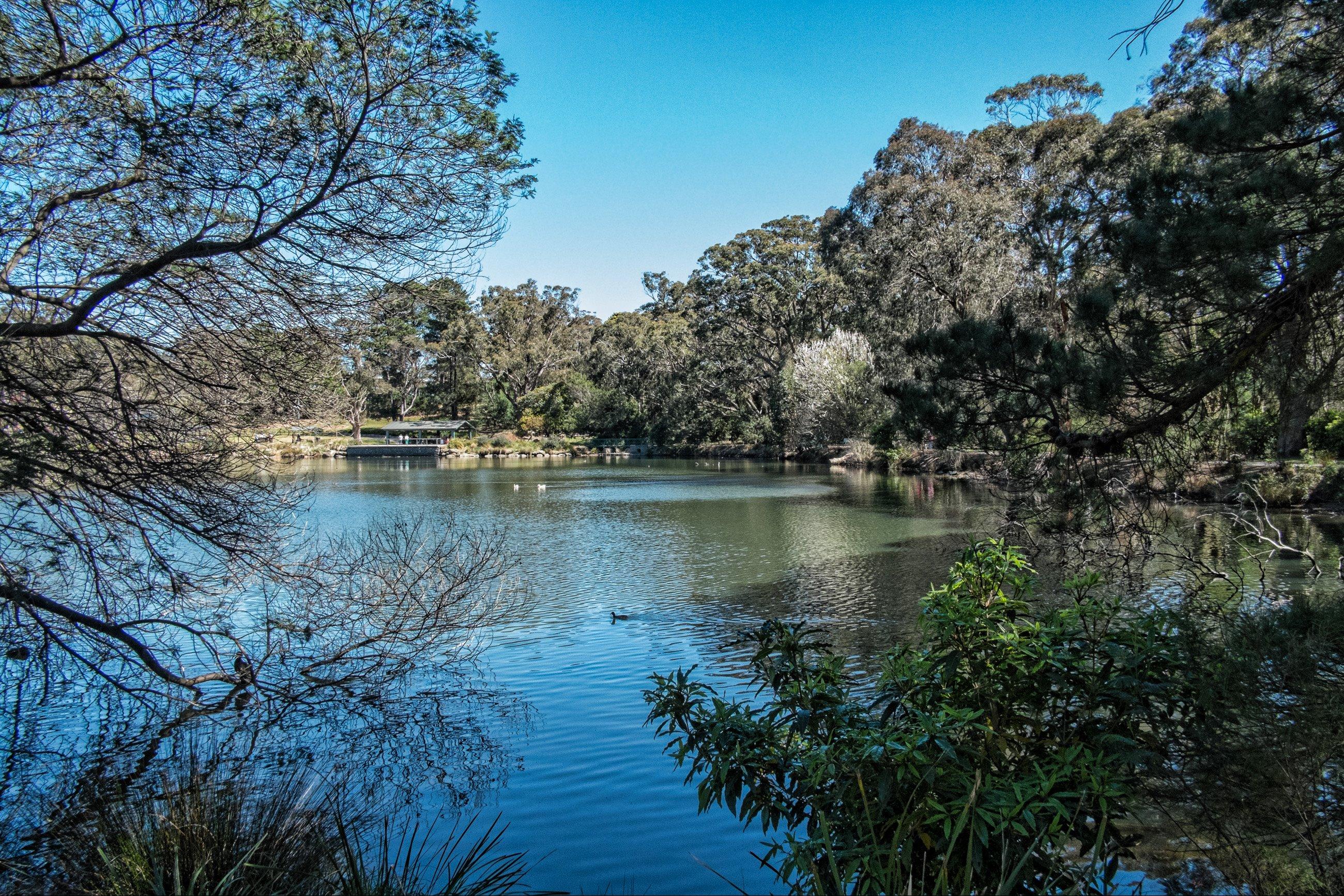 Lake Alexandra Reserve