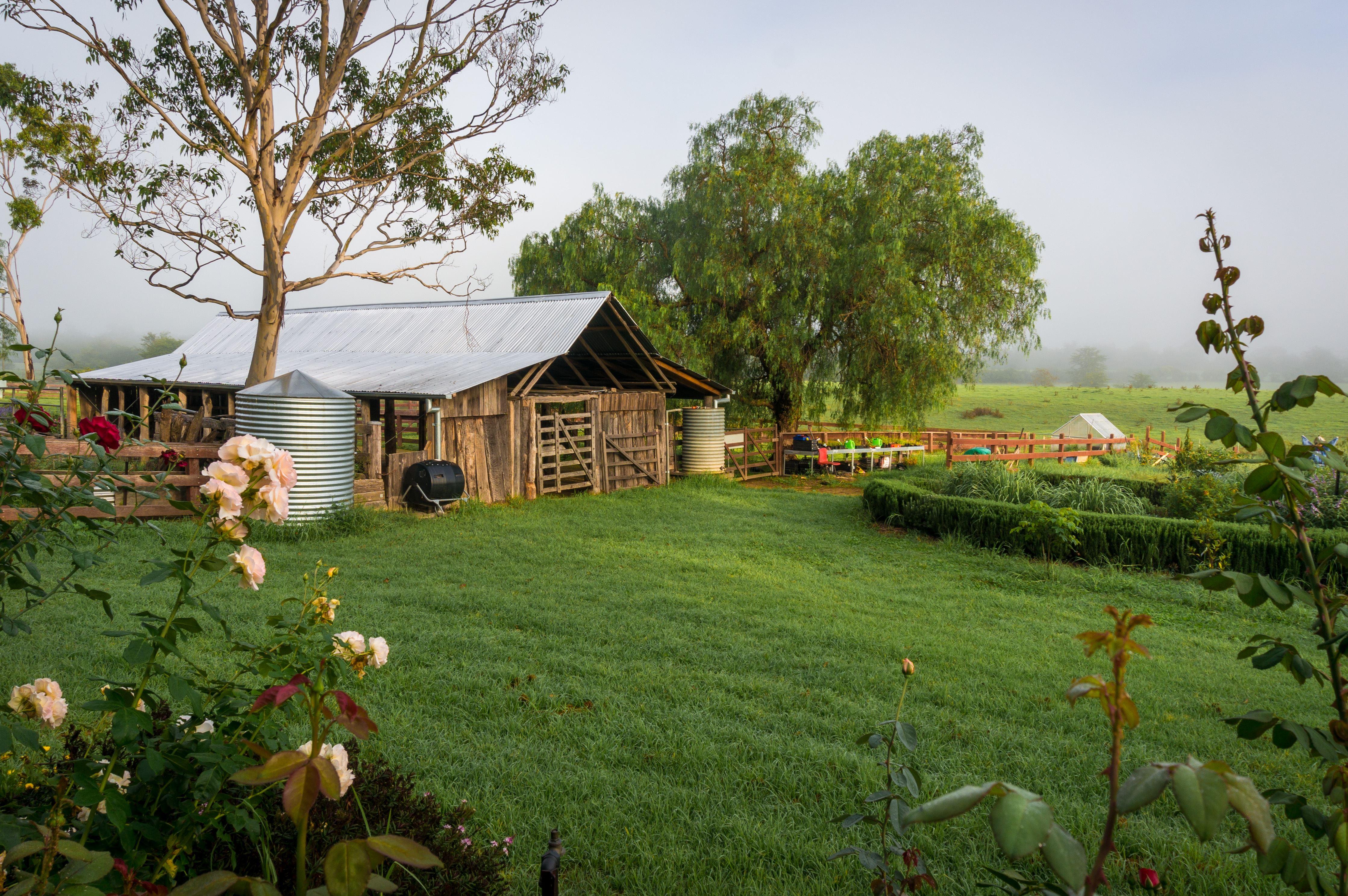 Camden Town Farm