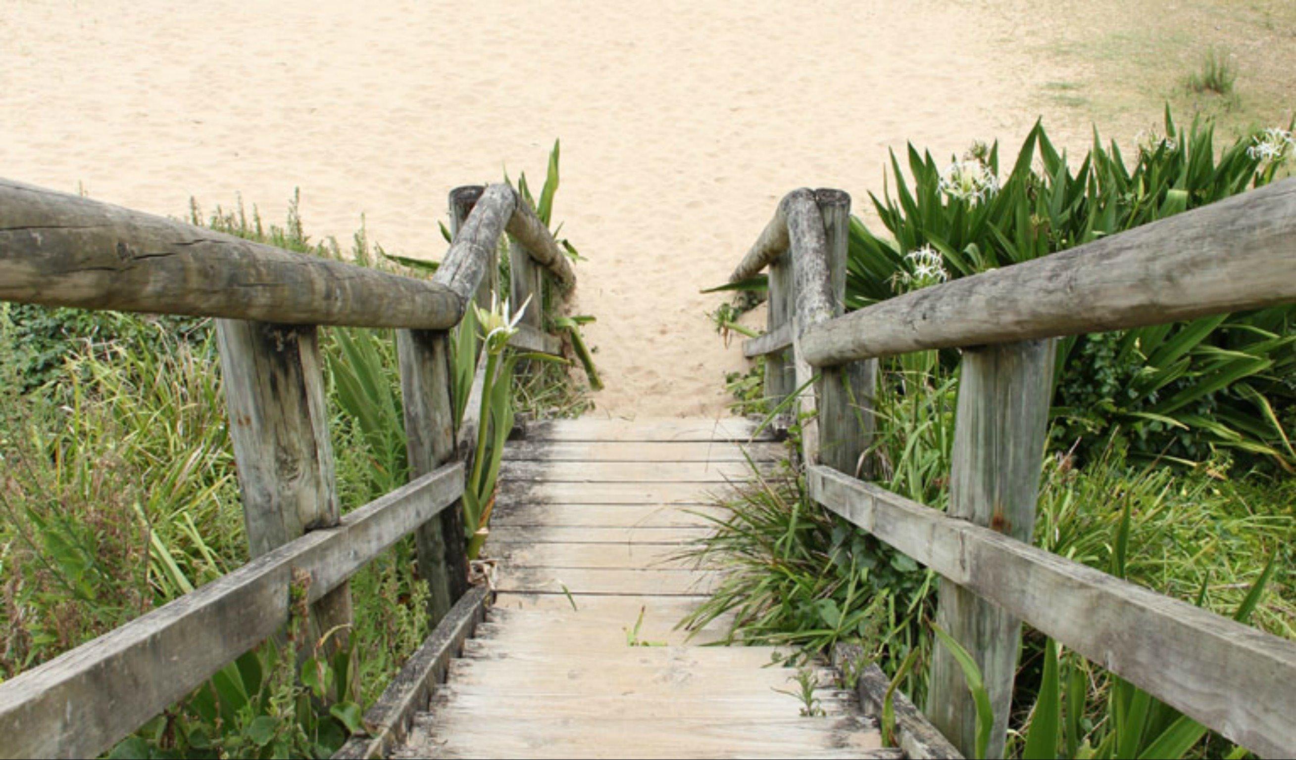 Pebbly Beach to Snake Bay walking track