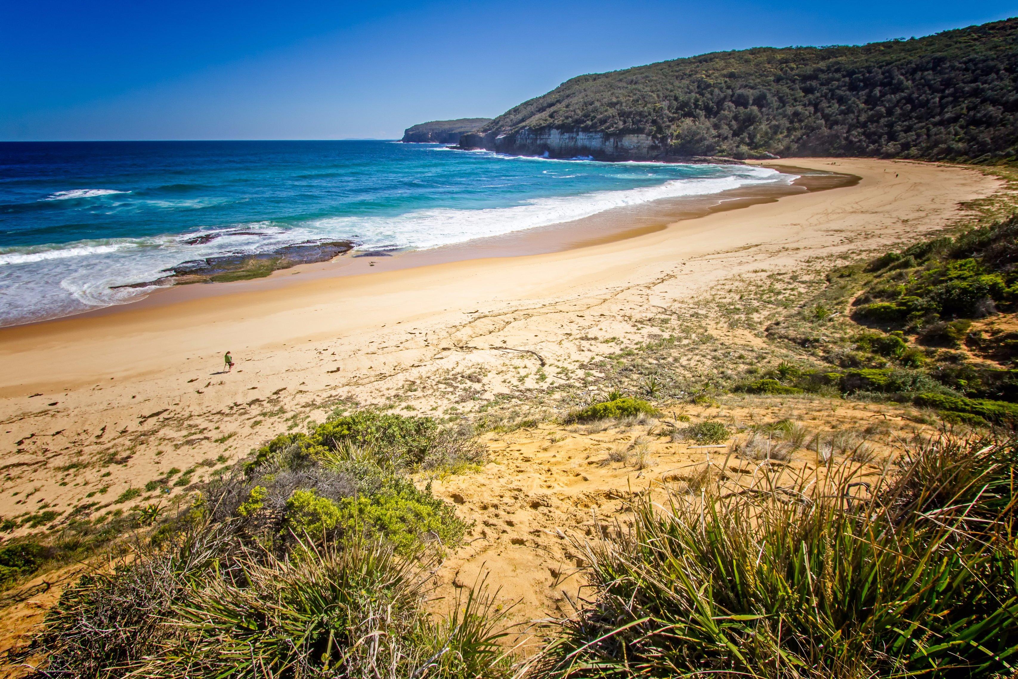 Steamers Beach