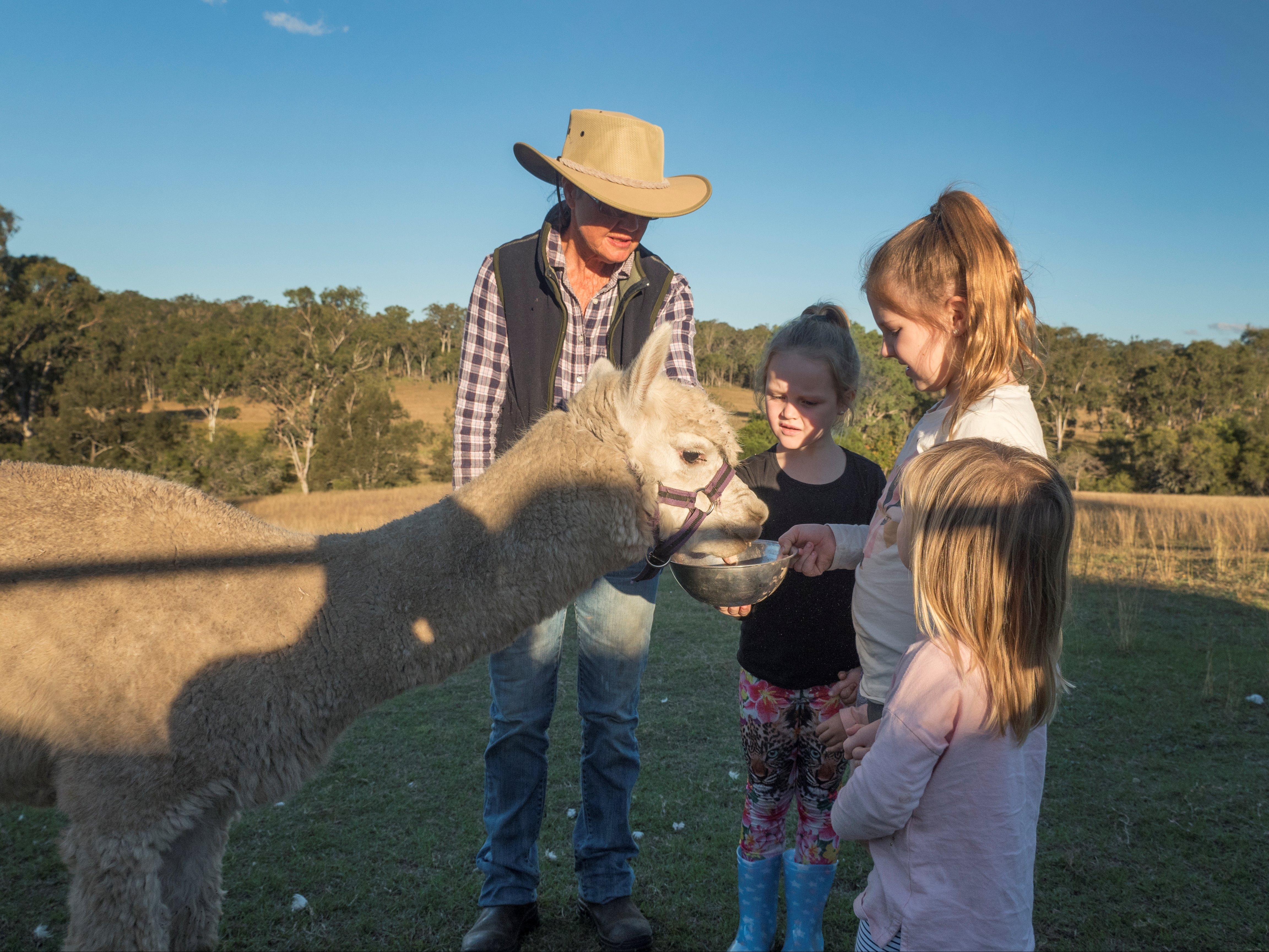 Bunyip Springs Farmstay