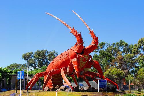 The Big Lobster