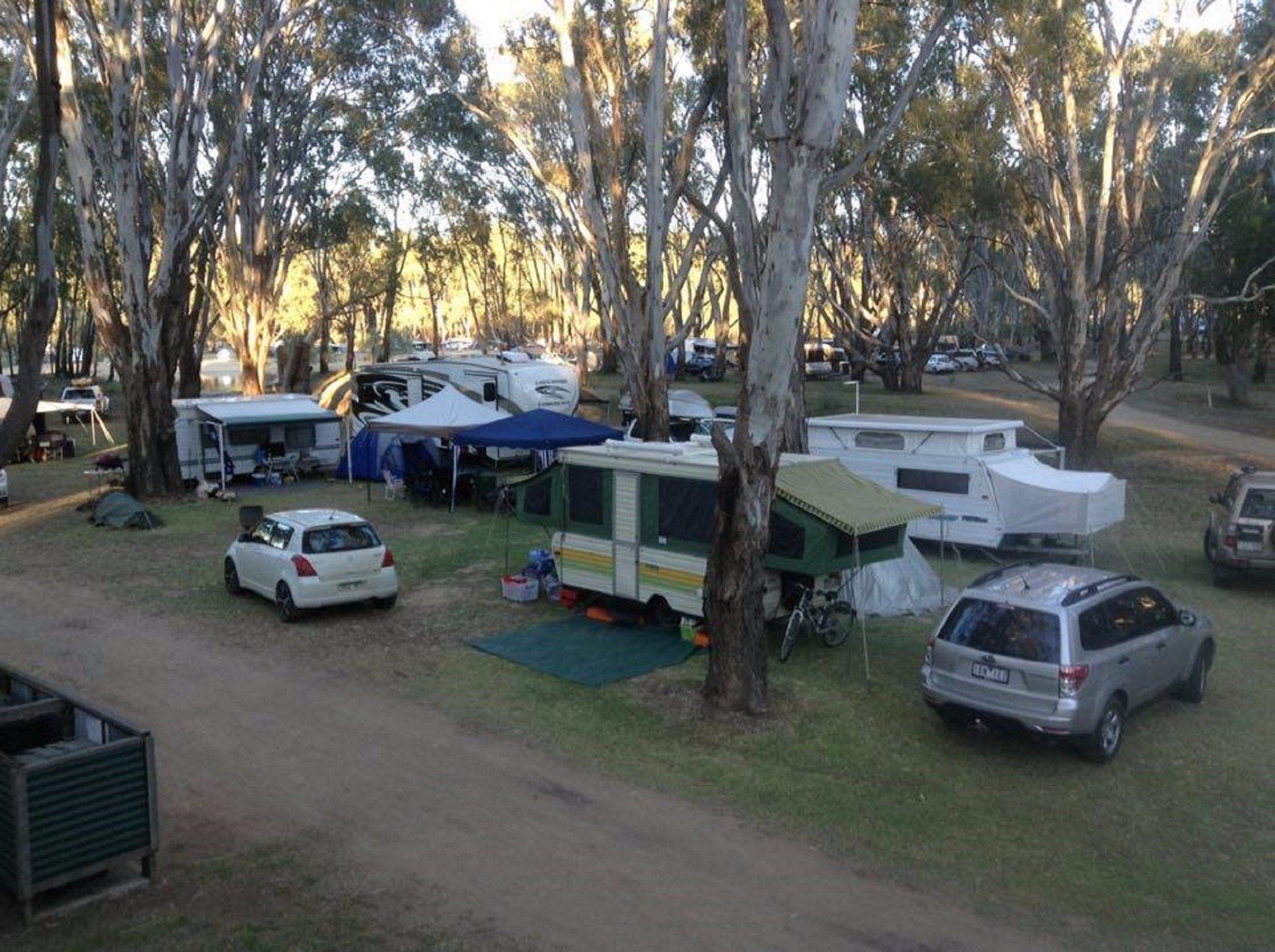 Bushlands on the Murray