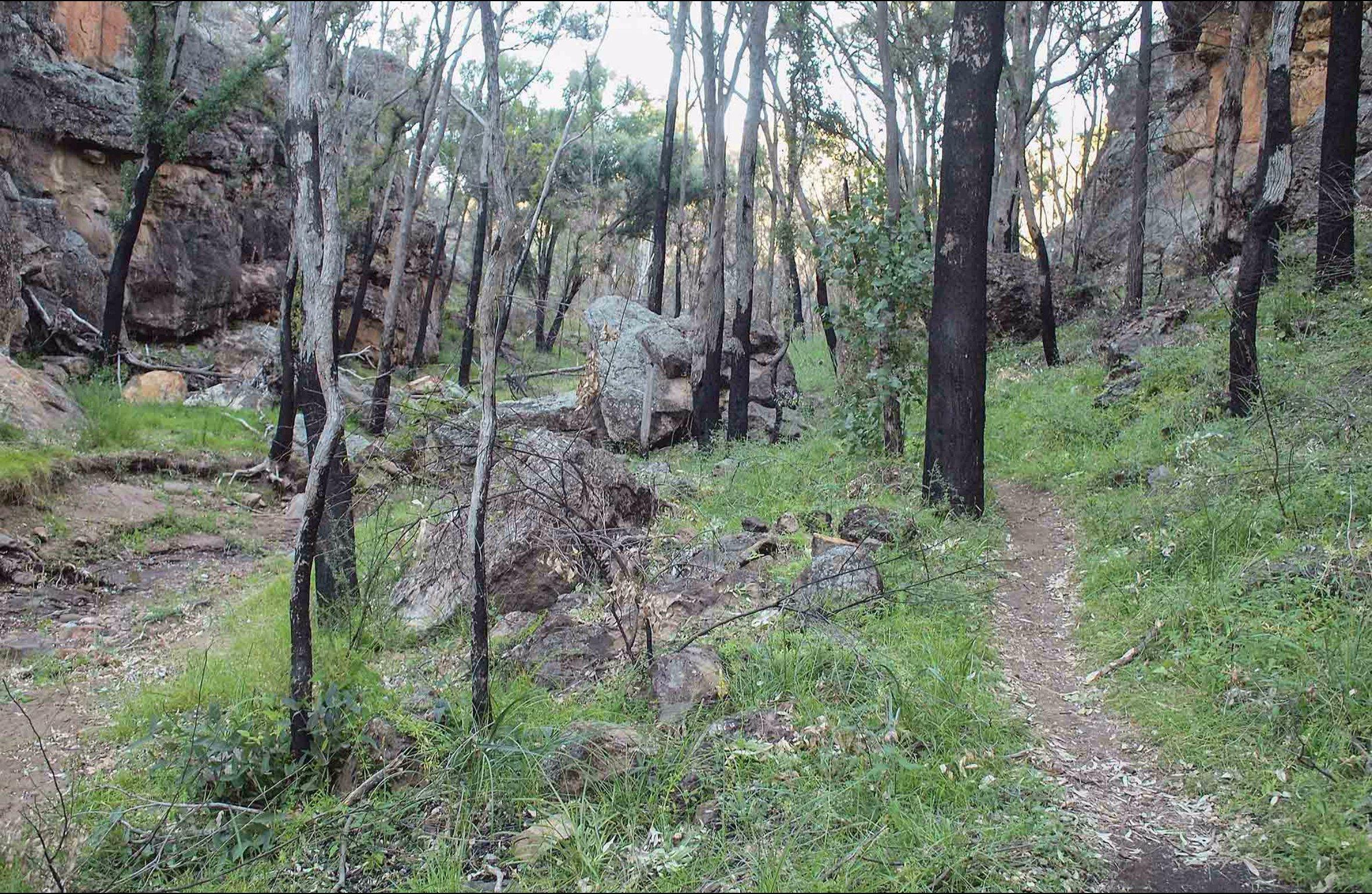 Burbie Canyon walking track