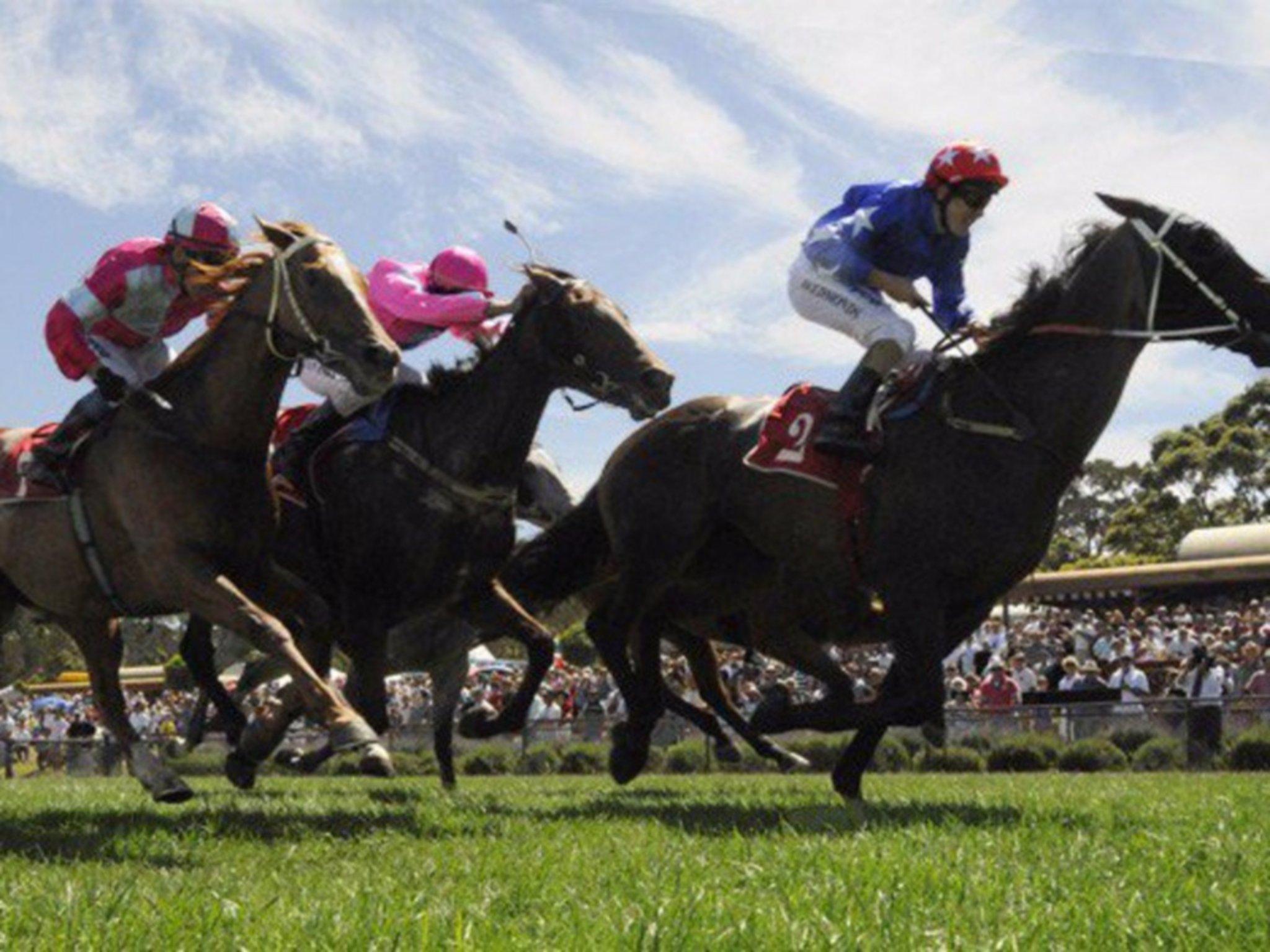 Moruya Racecourse