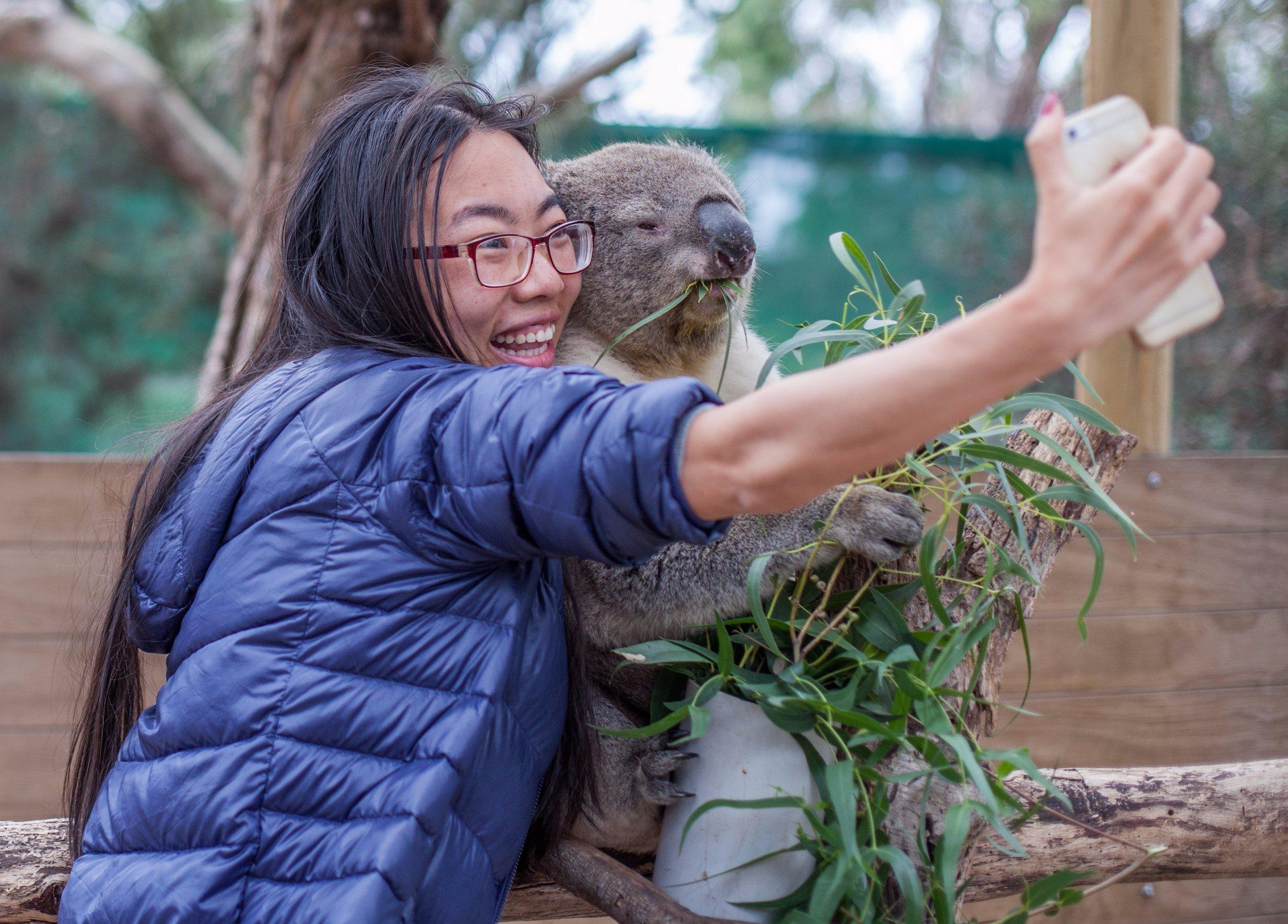 Moonlit Sanctuary Wildlife Conservation Park