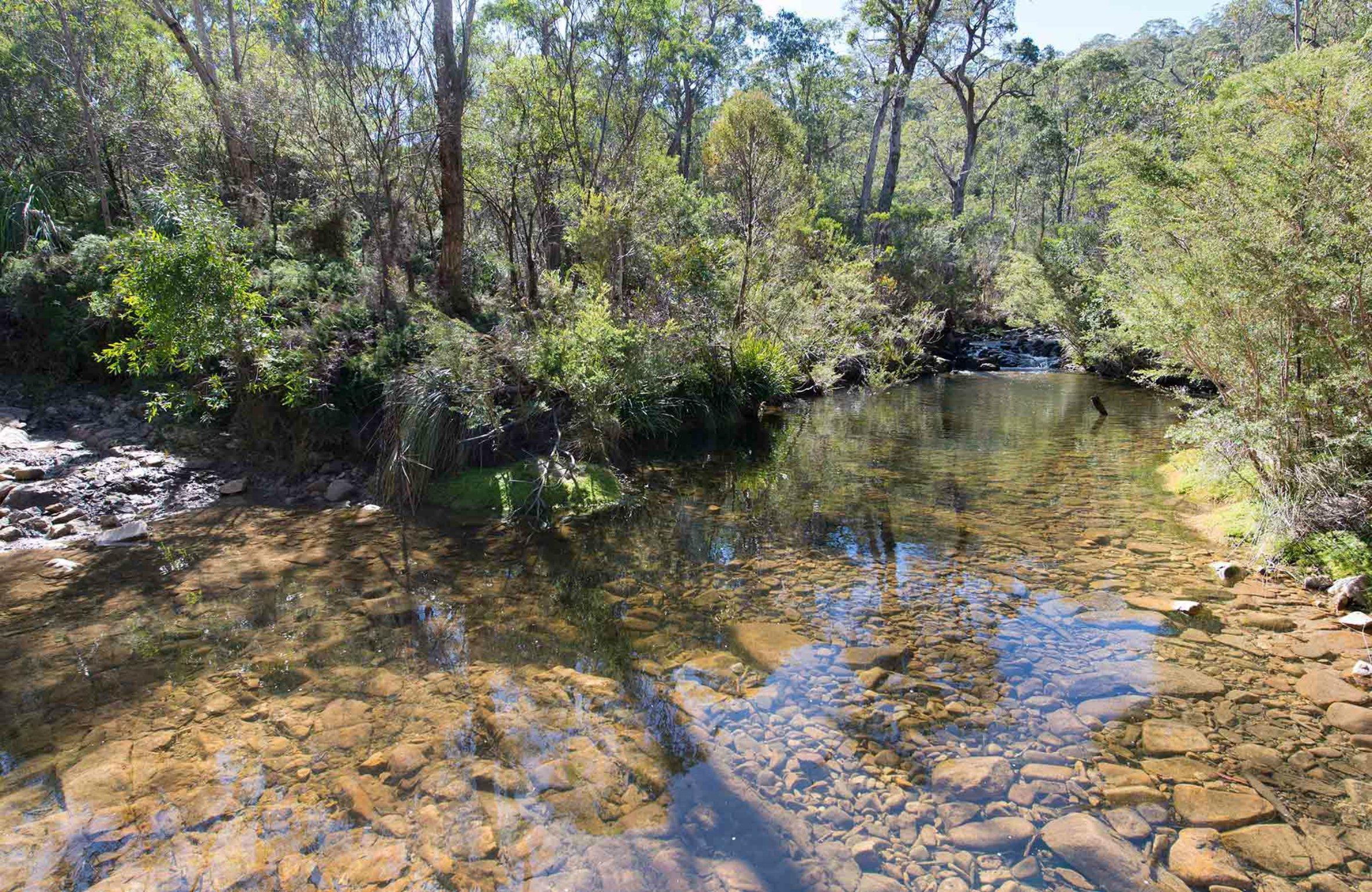 Werrikimbe National Park