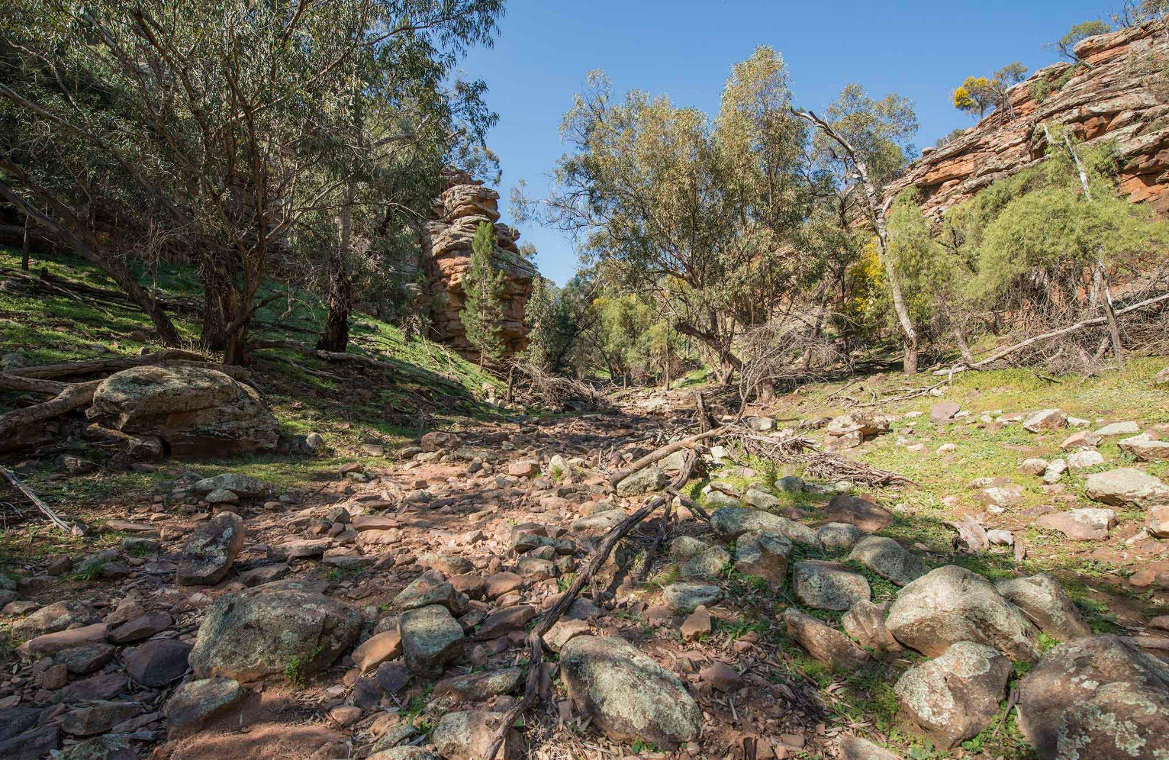 Jacks Creek walking track