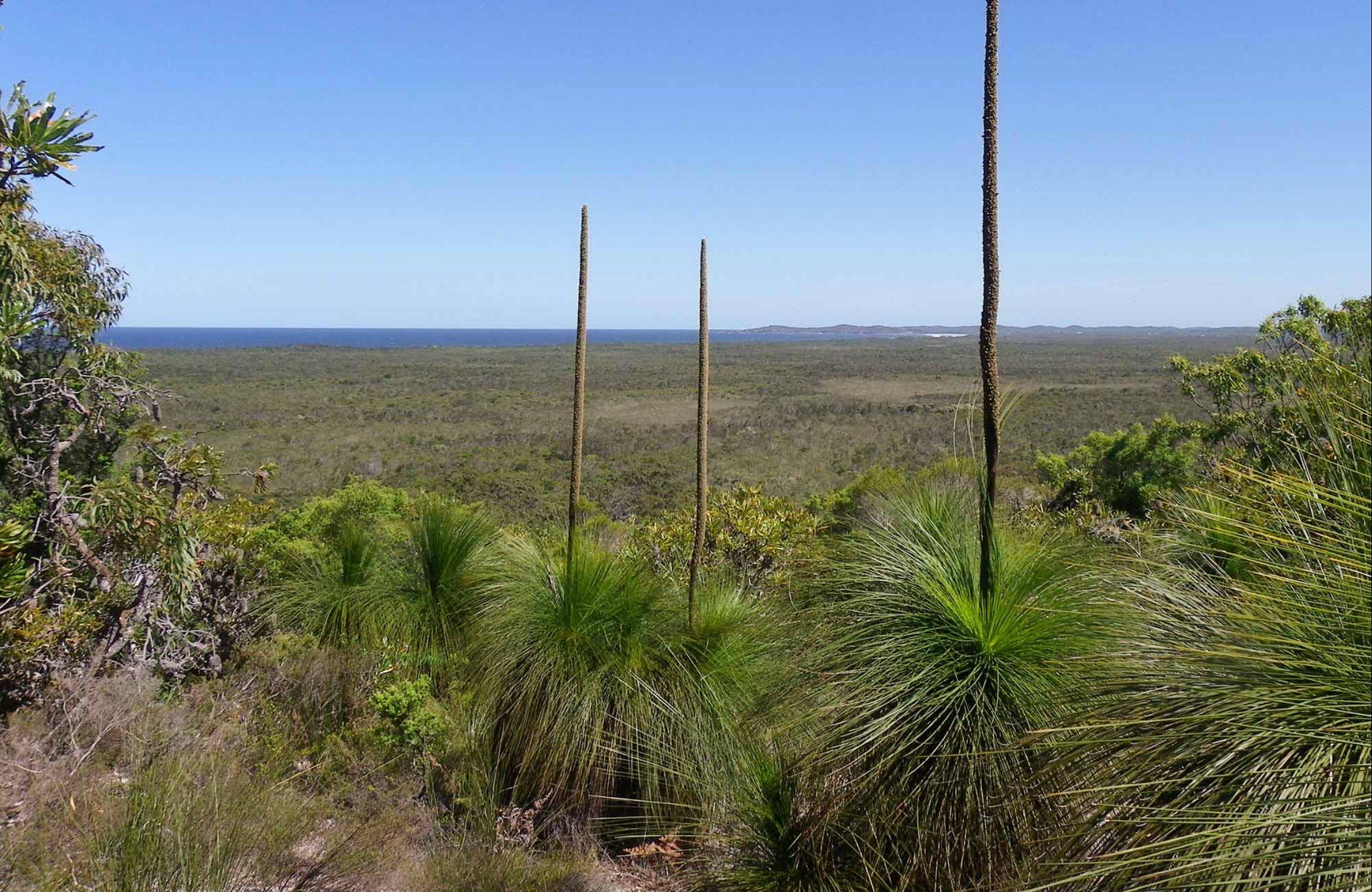 Broadwater inland lookout