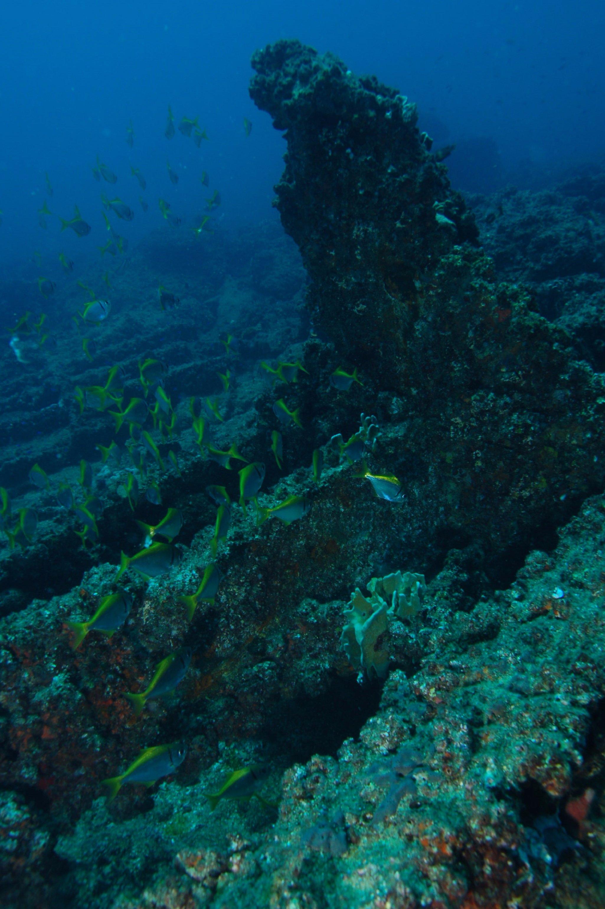 Marietta Dal Shipwreck Dive Site