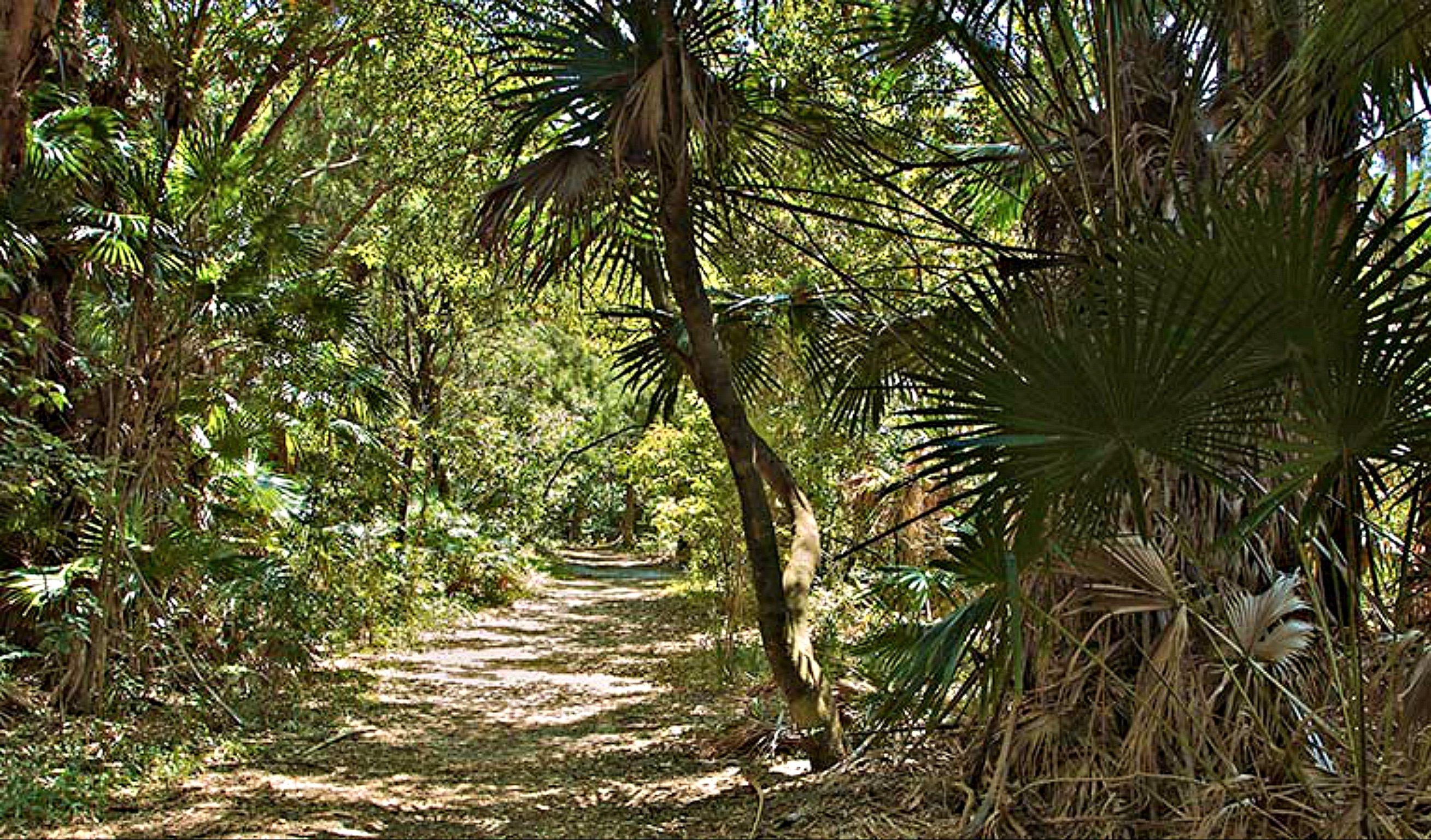 Mungo Walking Track