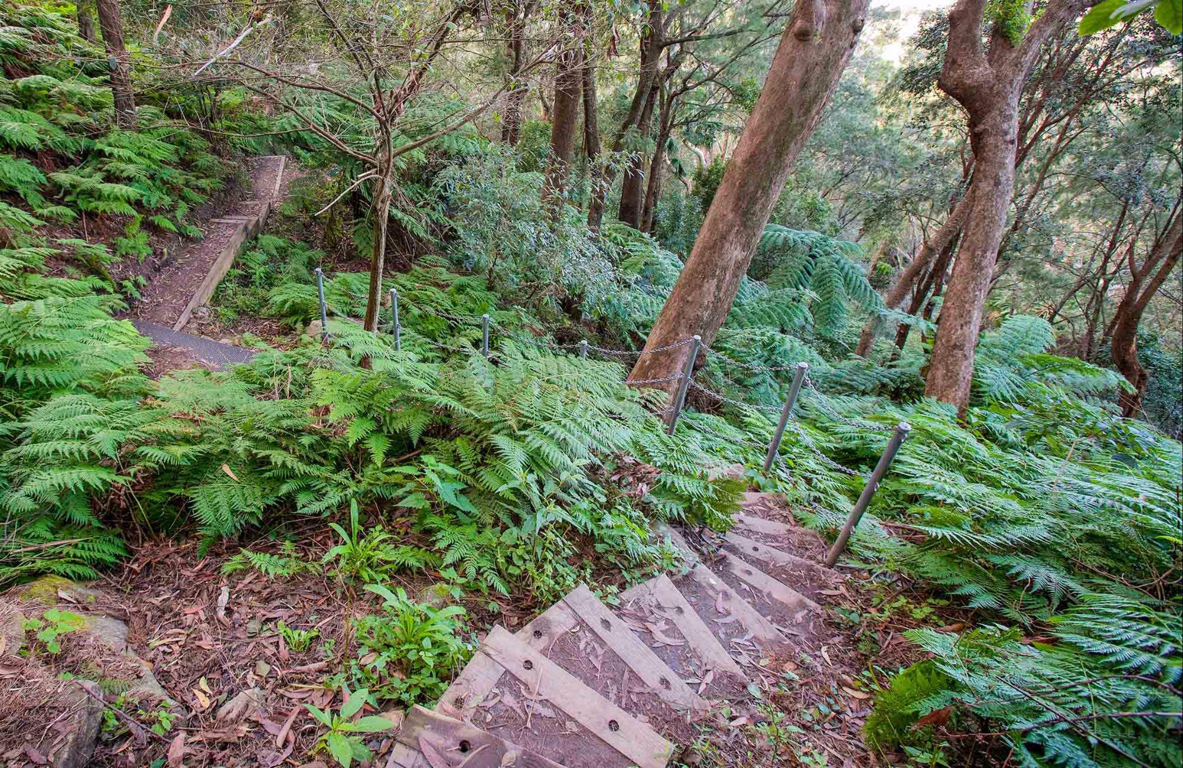 Sublime Point Walking Track