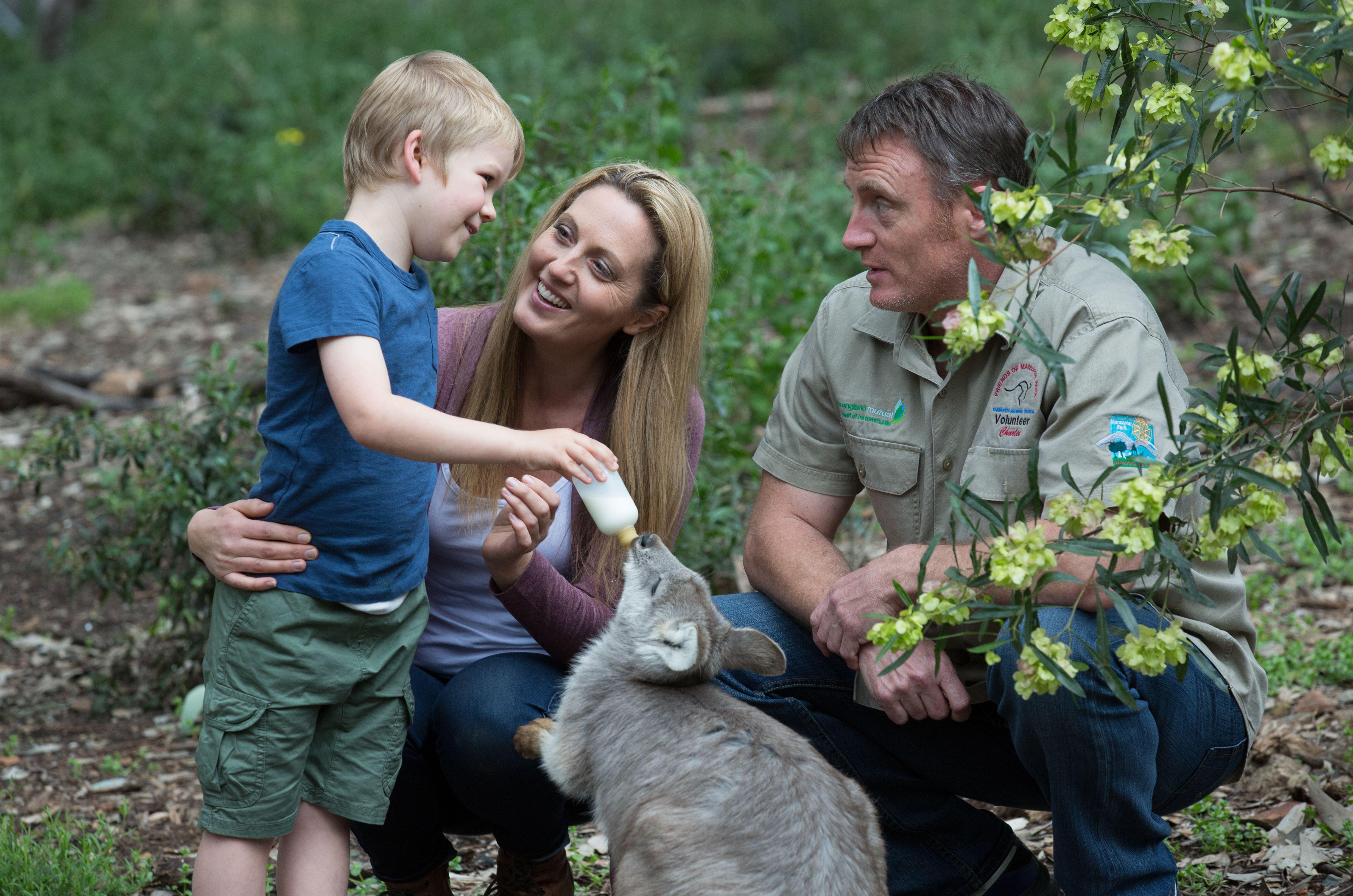 Tamworth Marsupial Park and Adventure Playground