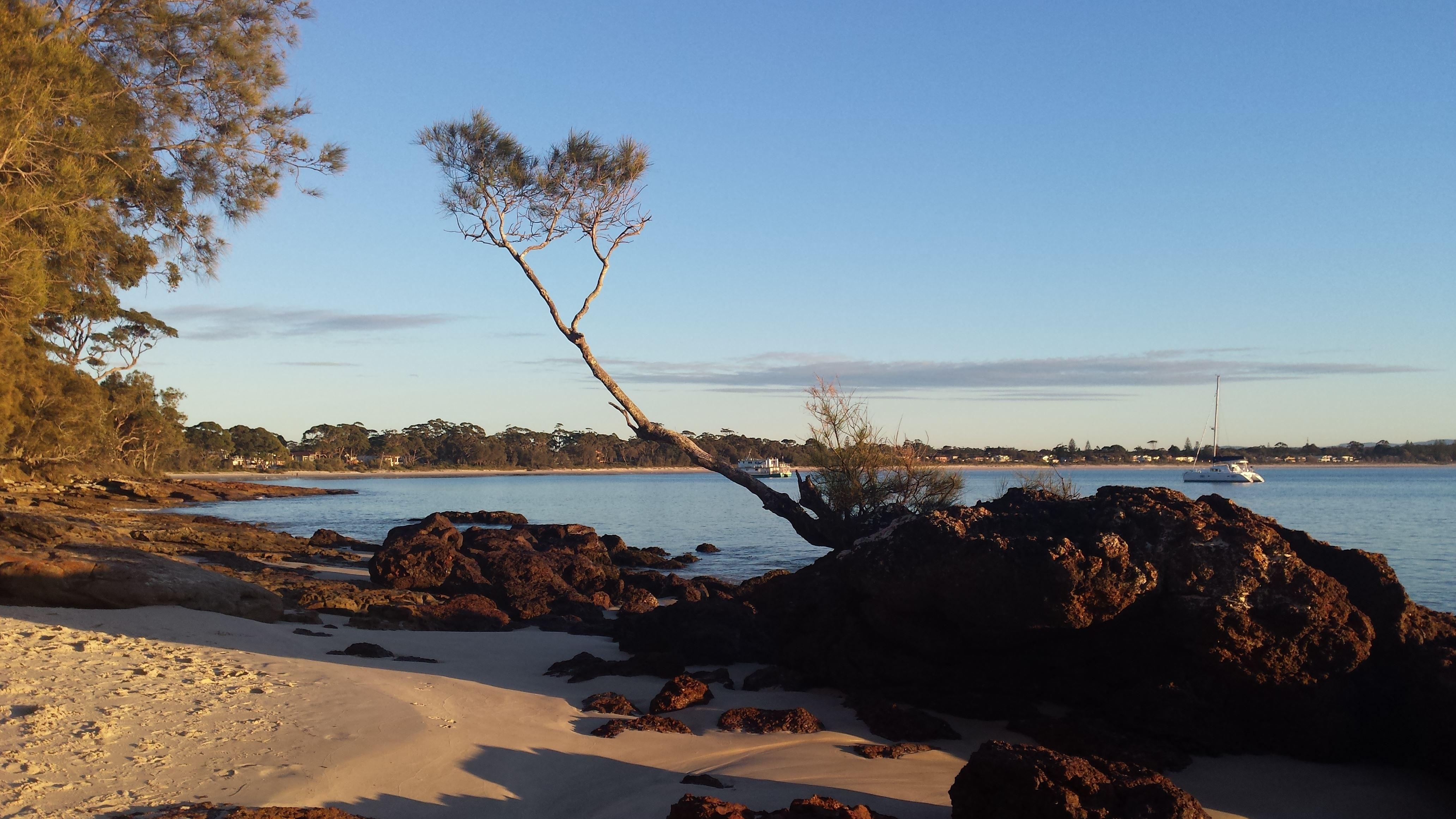 Tree Tops Bed and Breakfast Jervis Bay