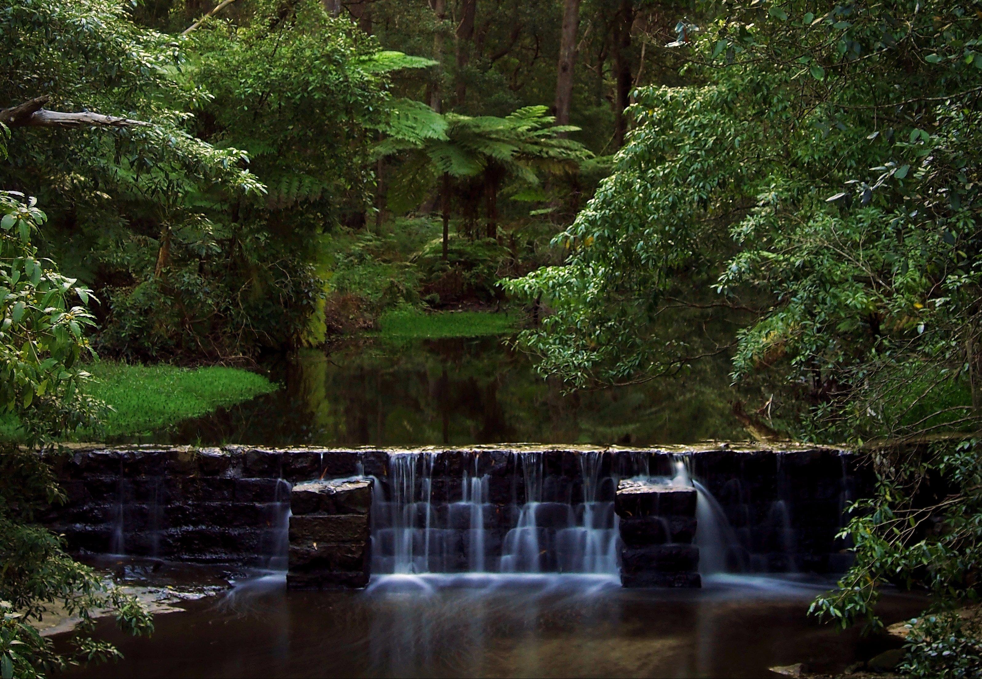 Millards Creek Walk and Cycleway