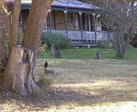 Cedar Lodge Cabins