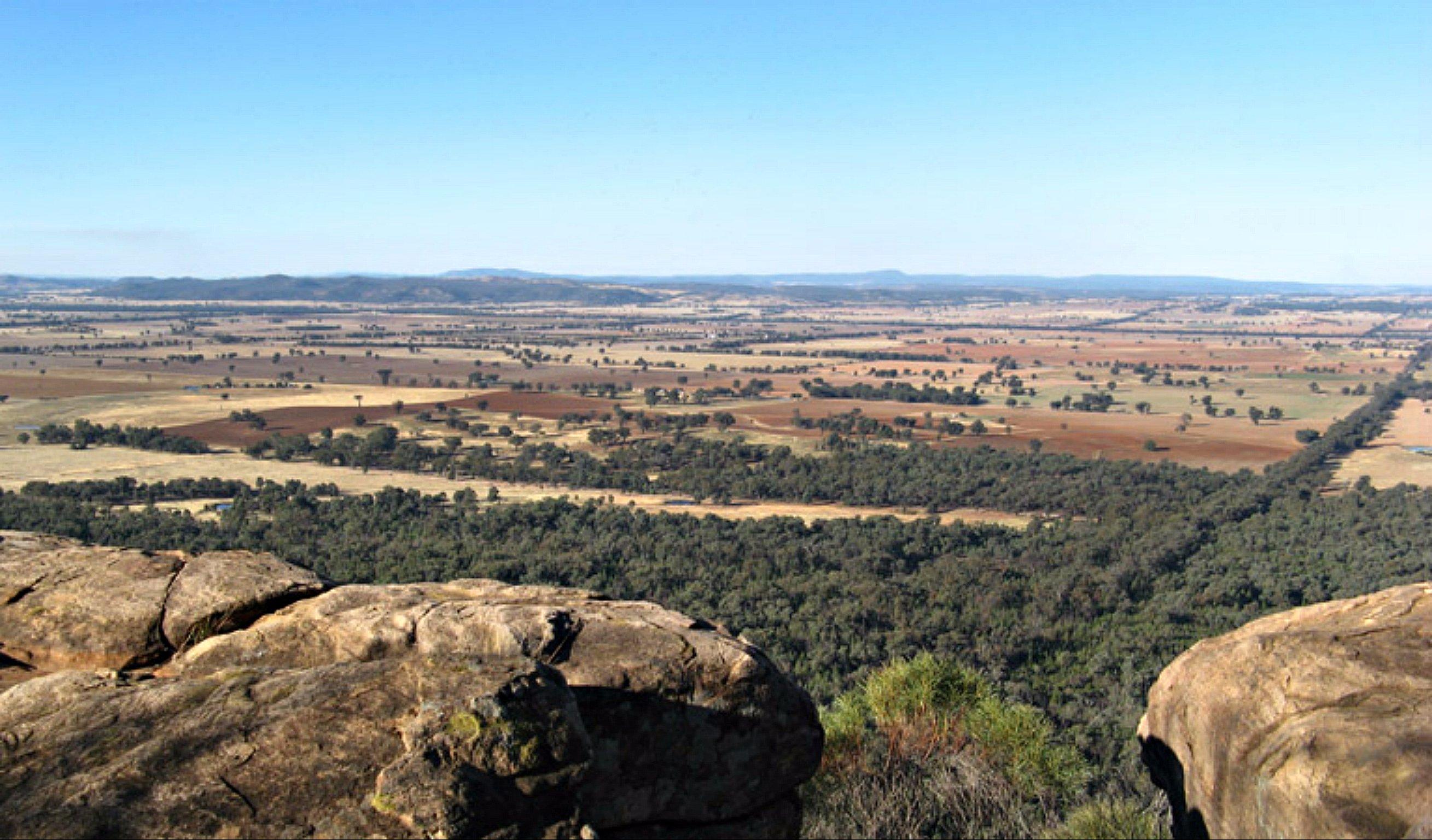 Basin Gully to Eualdrie Lookout Track