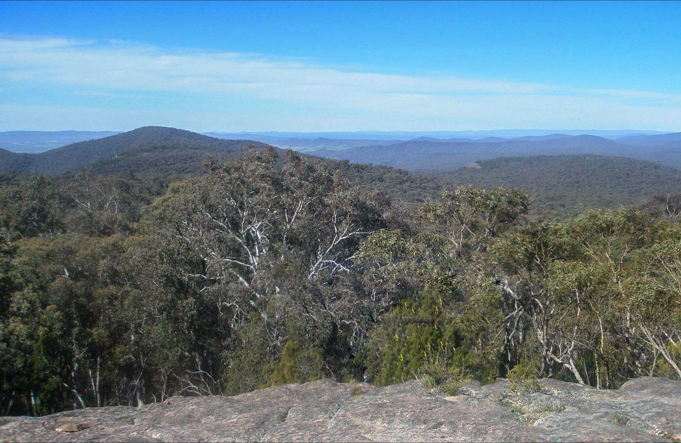 Norths Lookout