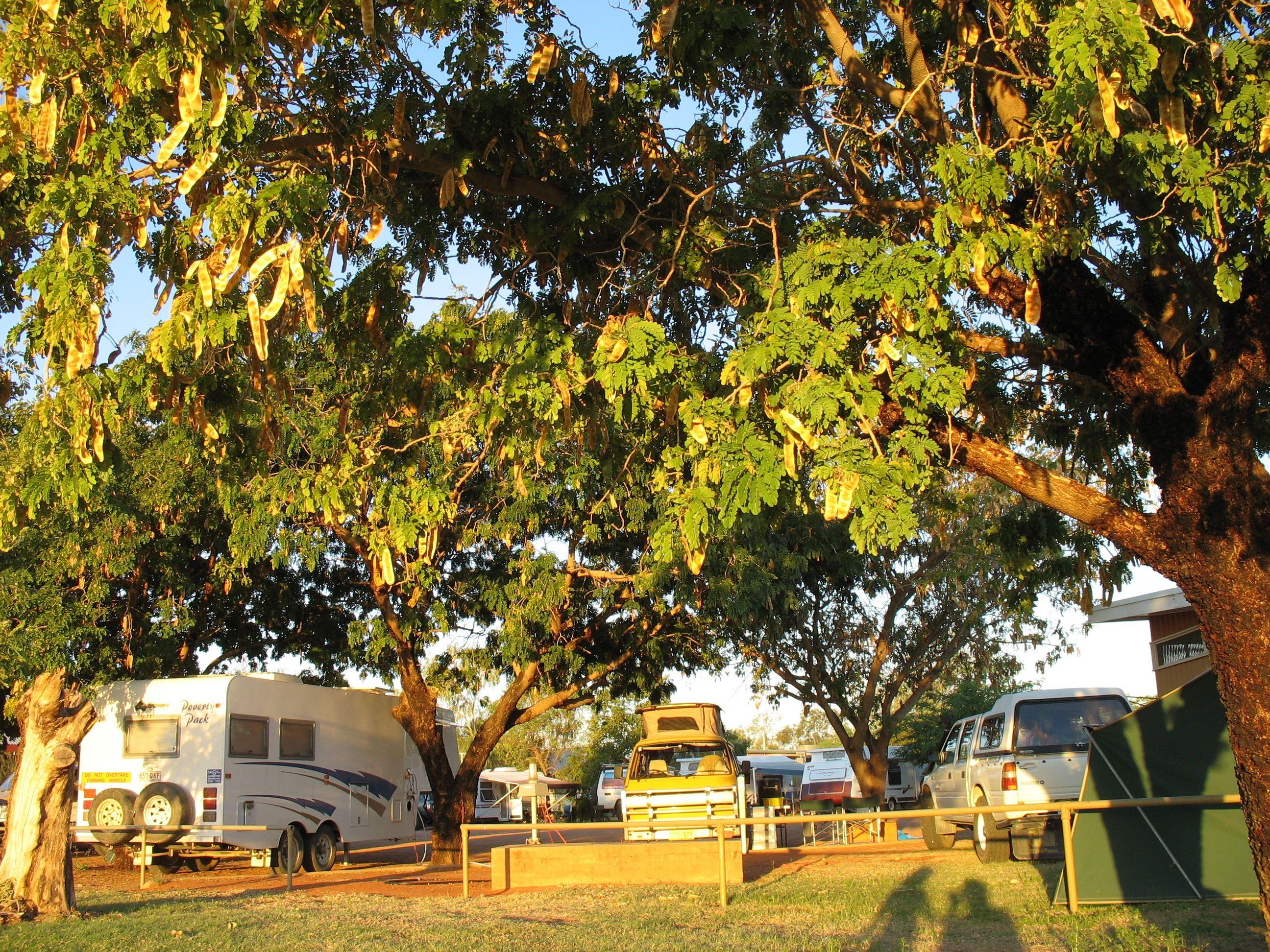 Windorah Caravan Park