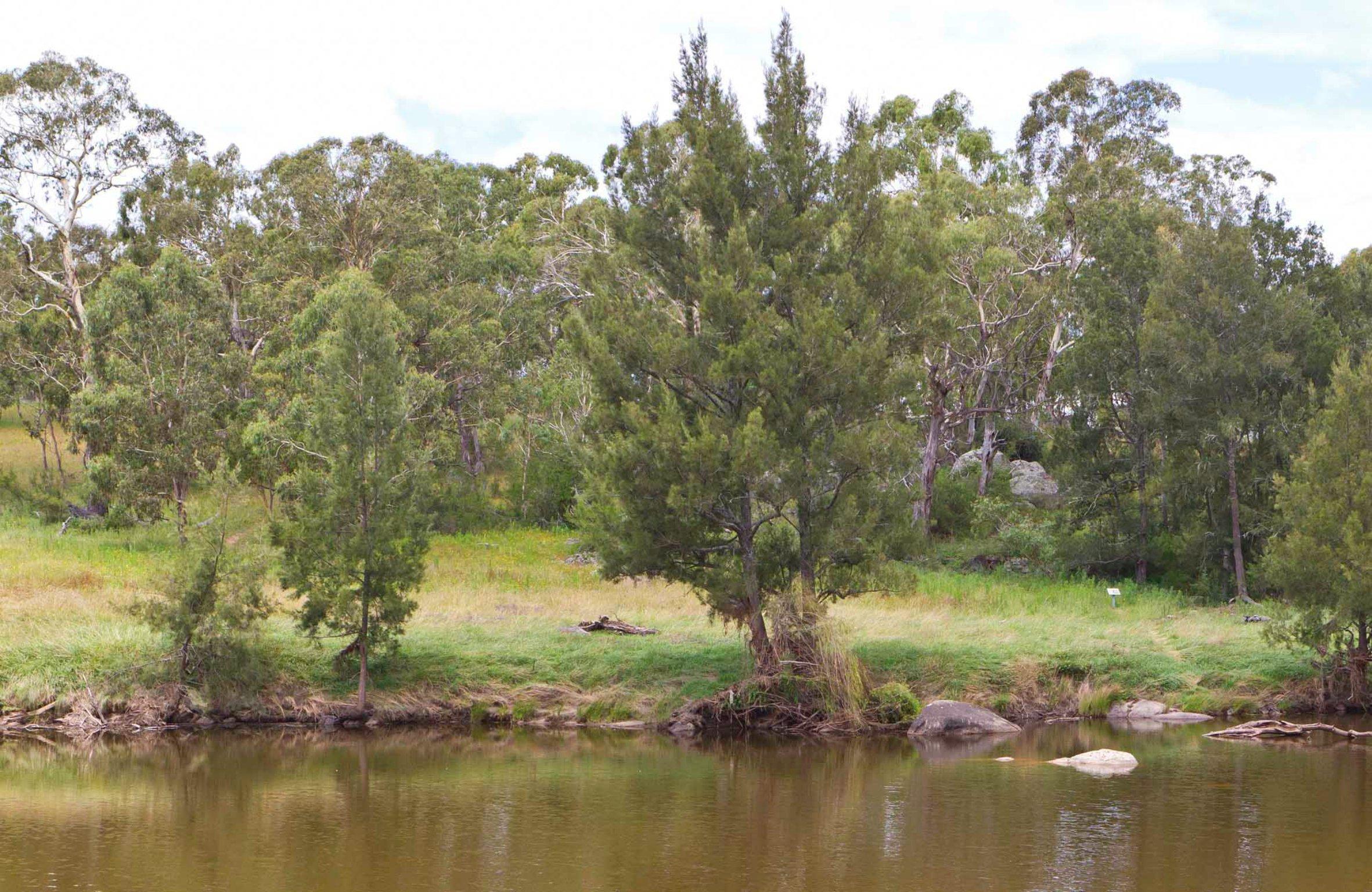 Threlfall Picnic Area