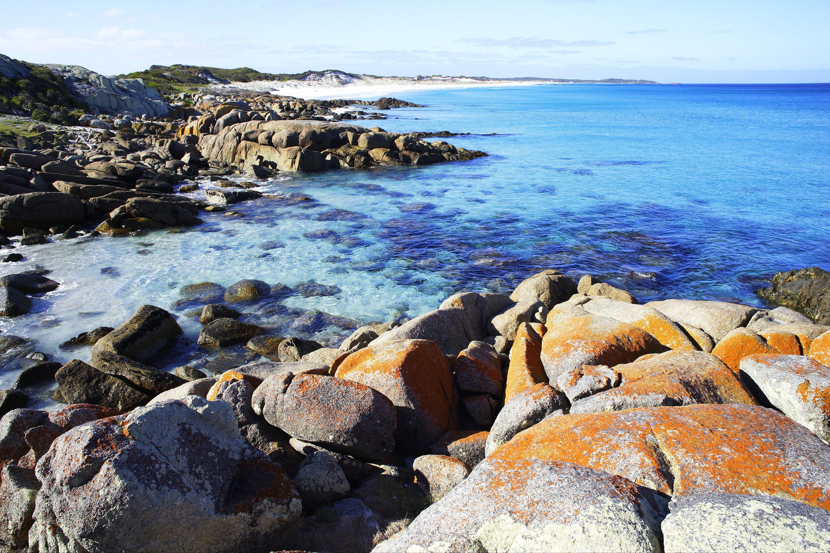 Mt William National Park