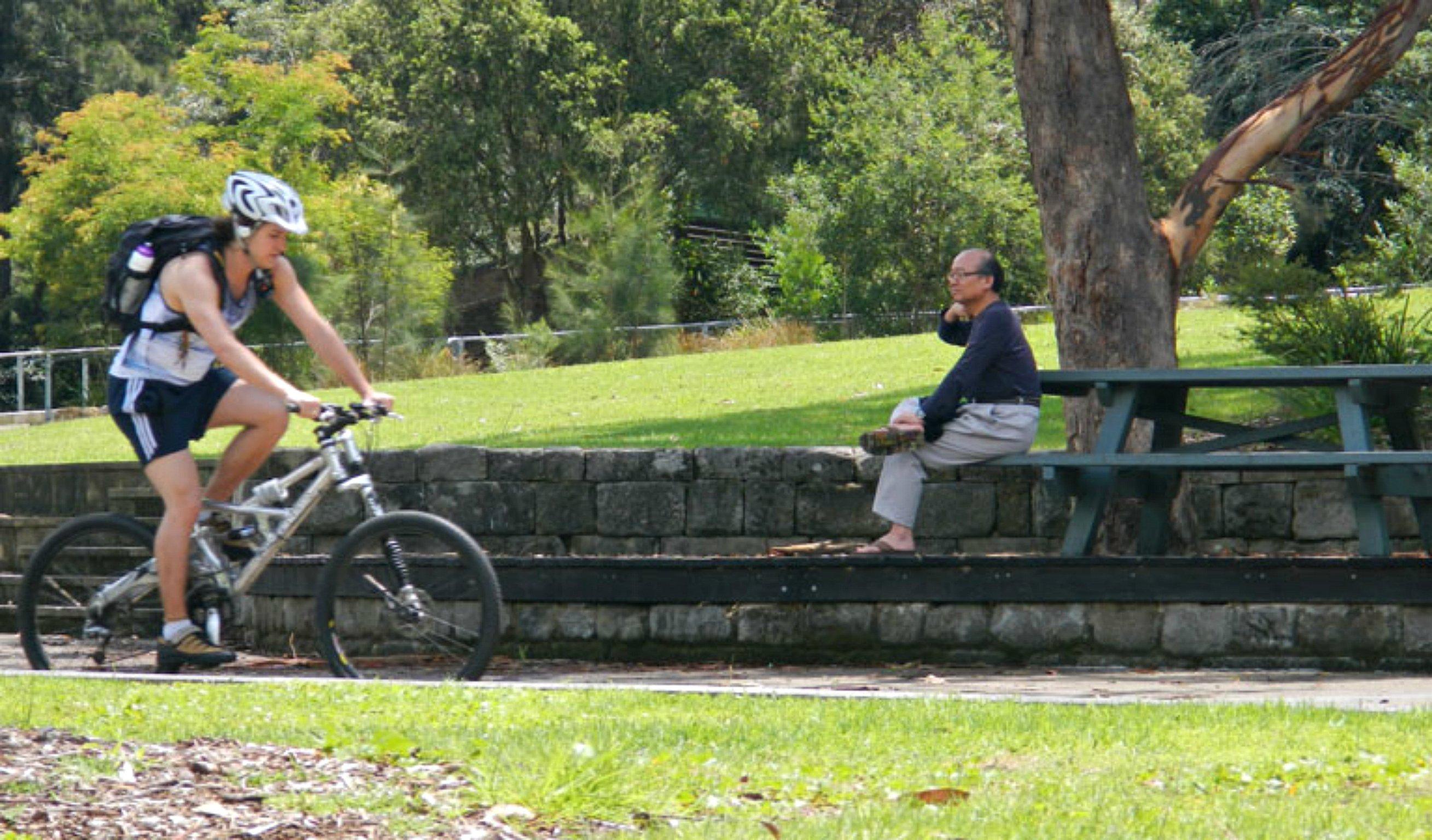 Pennant Hills West Pymble Fire Trail