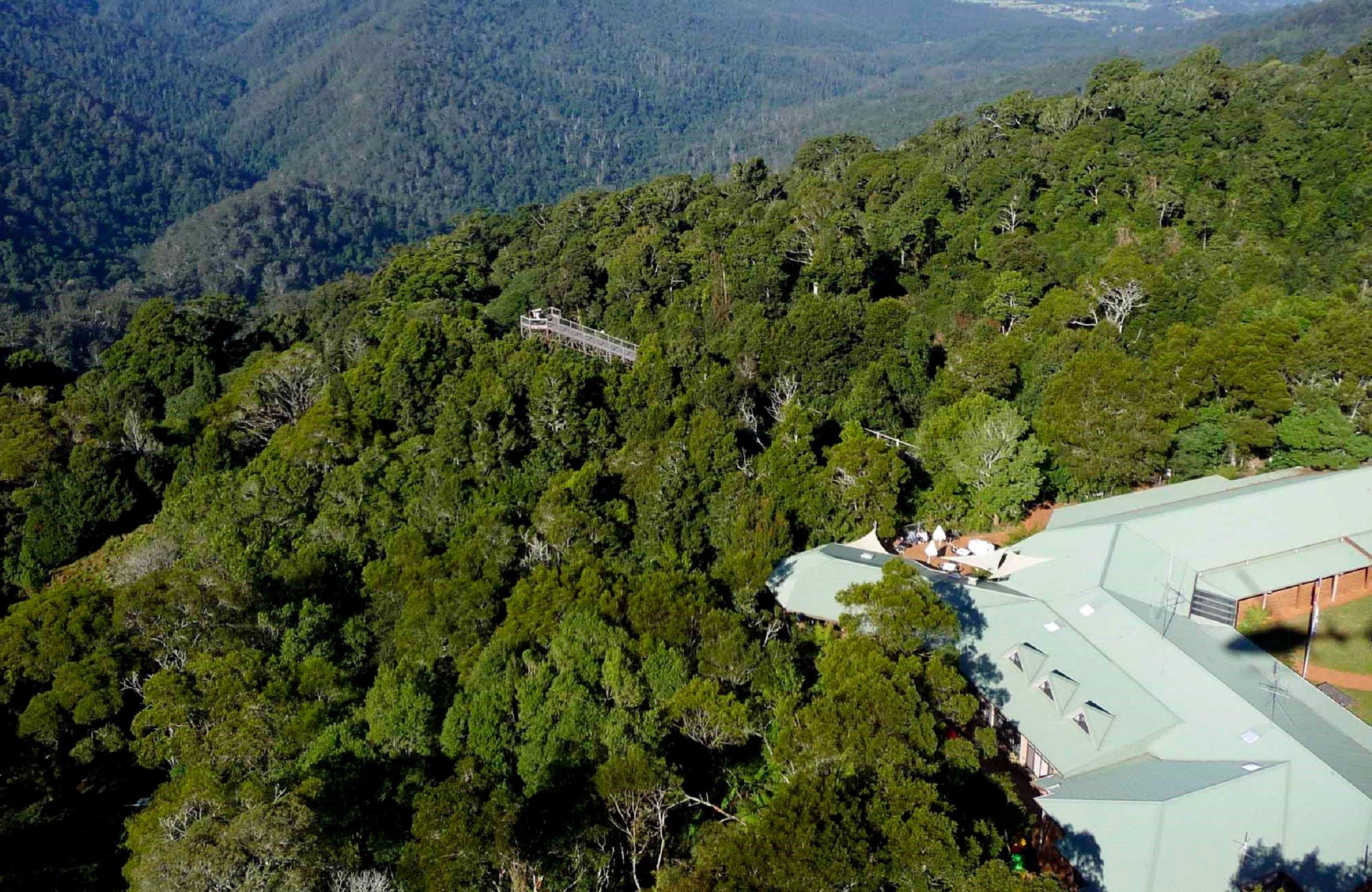 Dorrigo Rainforest Centre