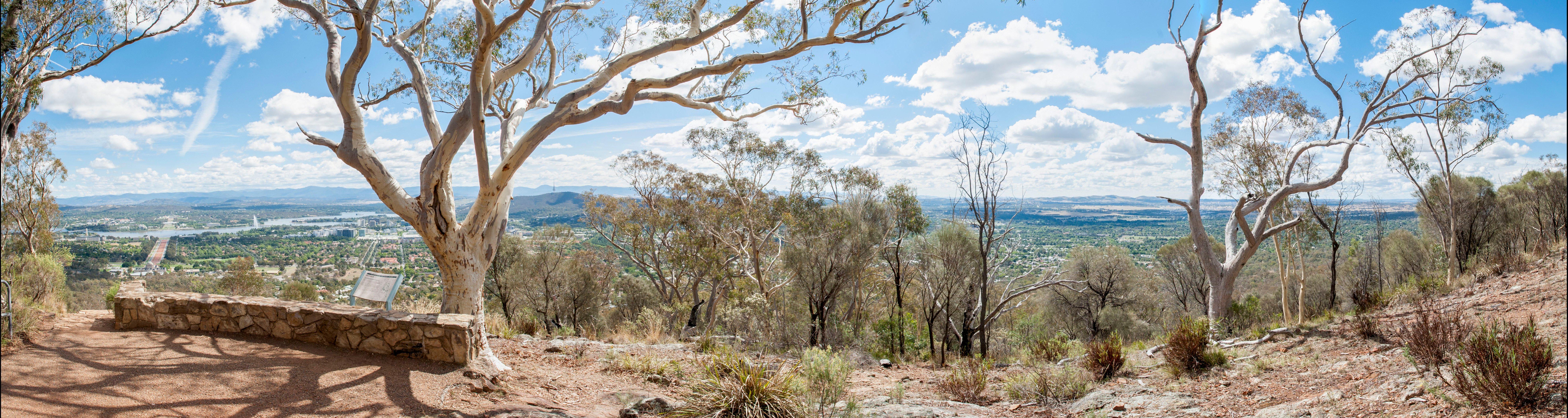 Mount Ainslie Lookout