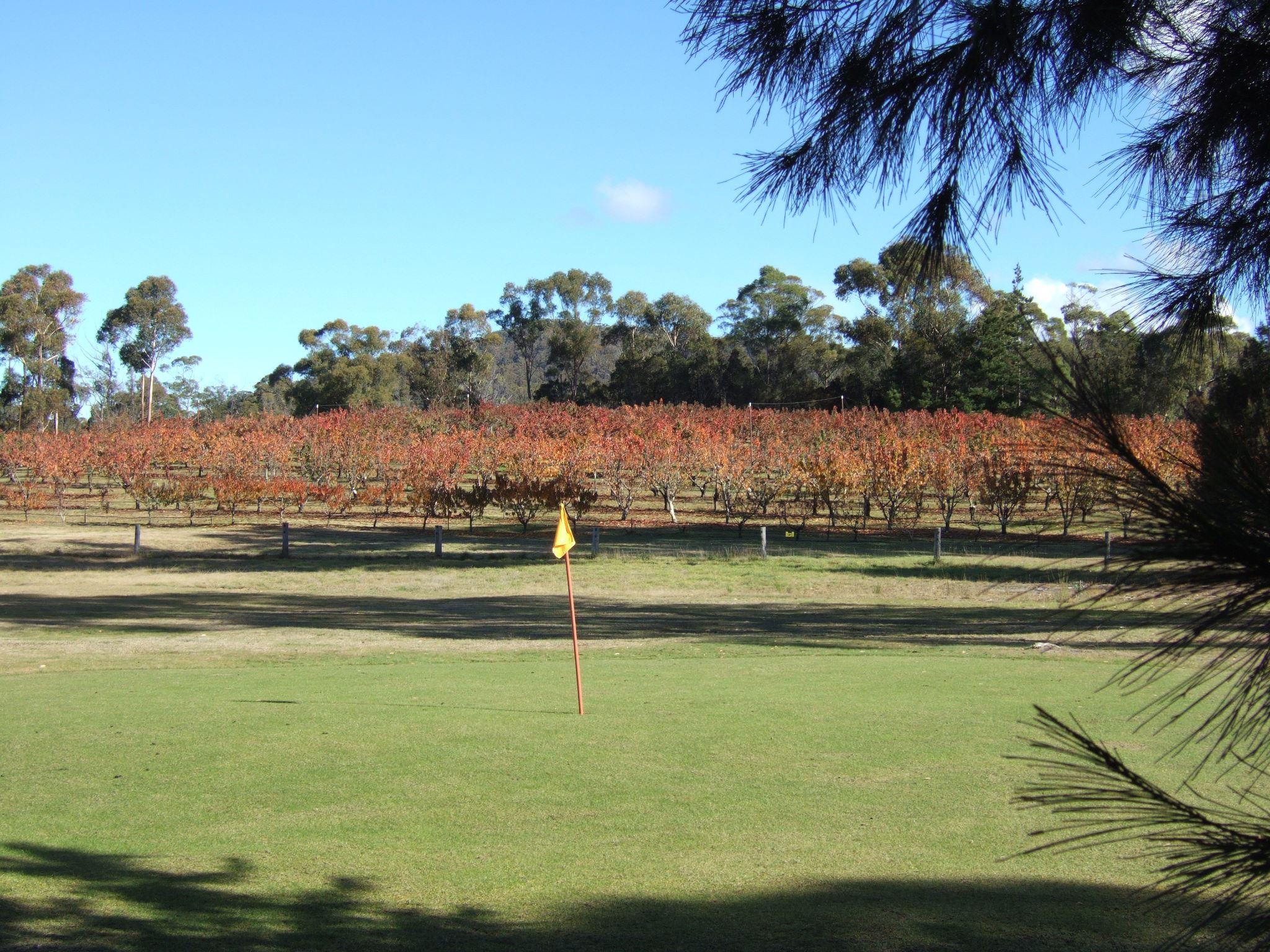 Cerise Brook Orchard and Chip n Putt Family Golf Course