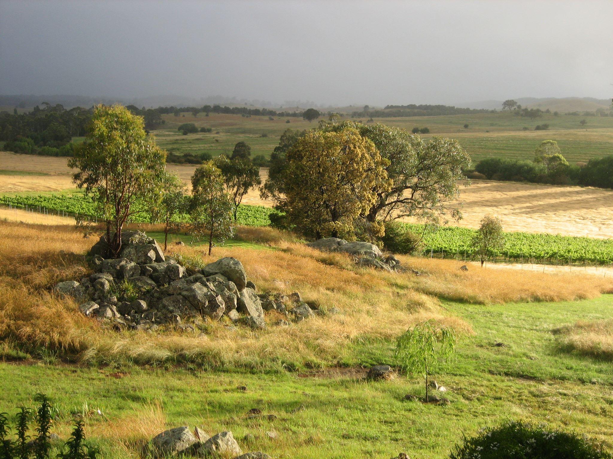 Bungonia Creek Wines