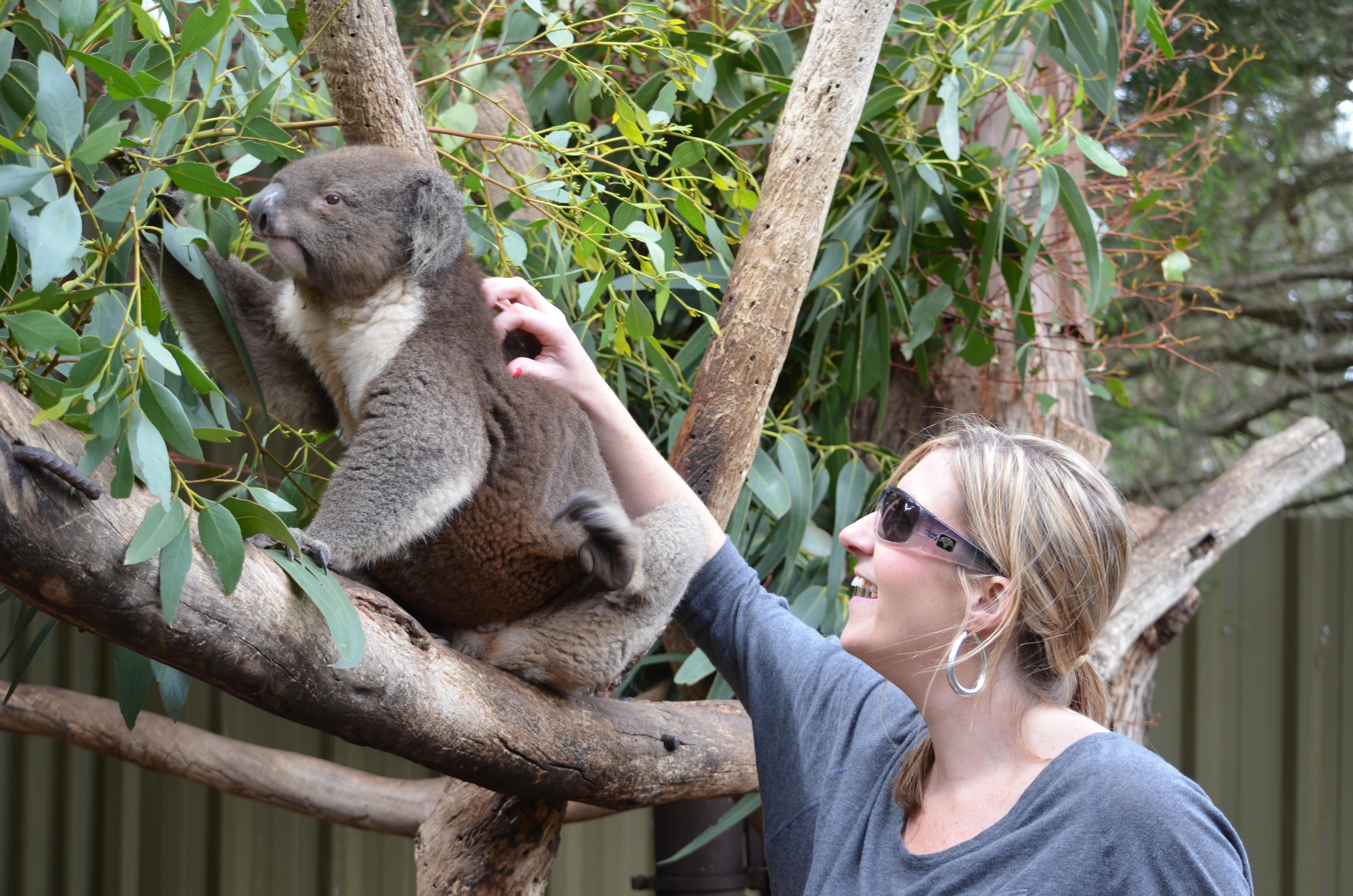 Kangaroo Island Wildlife Park