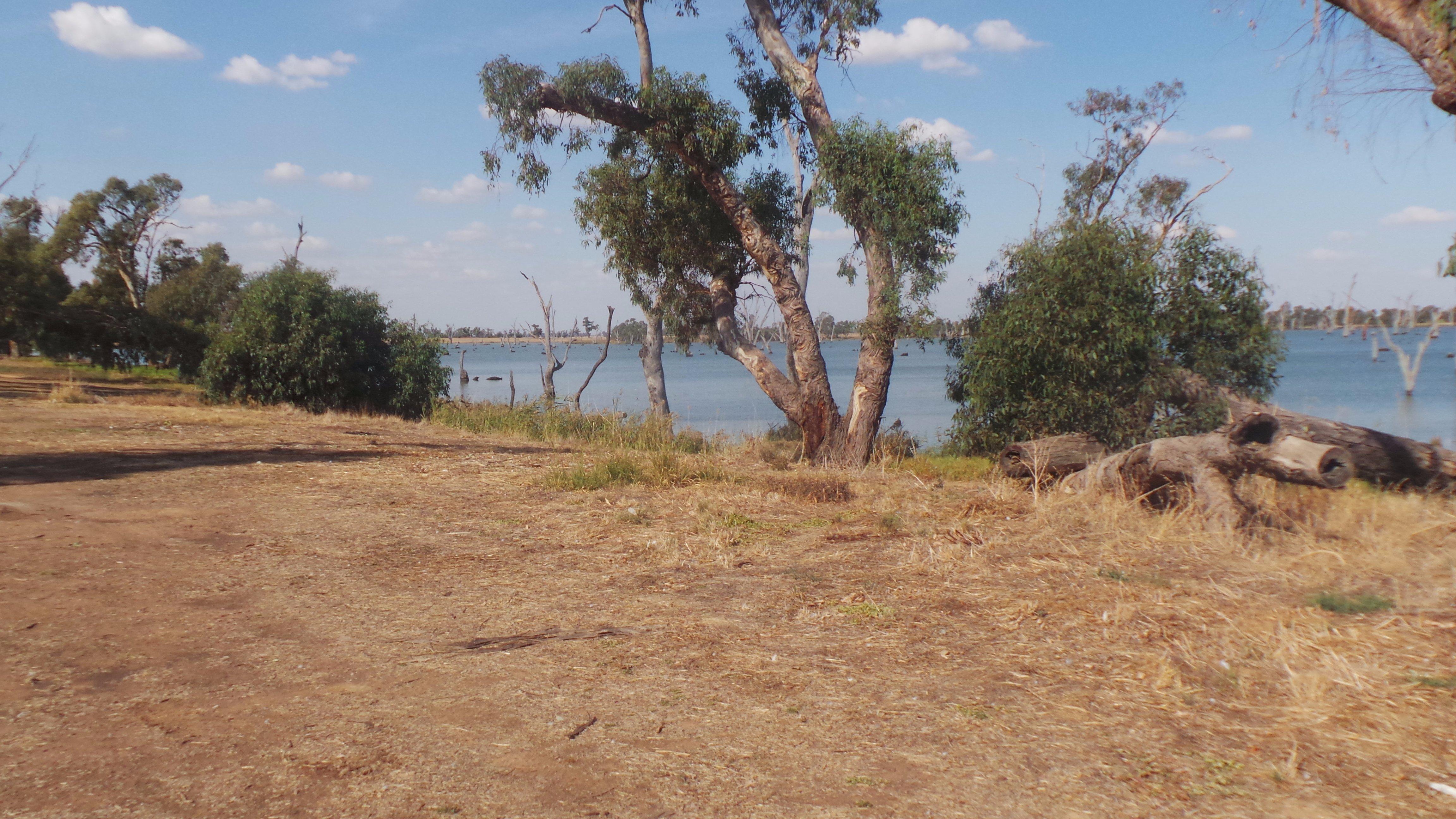 Kyffins Reserve Mulwala