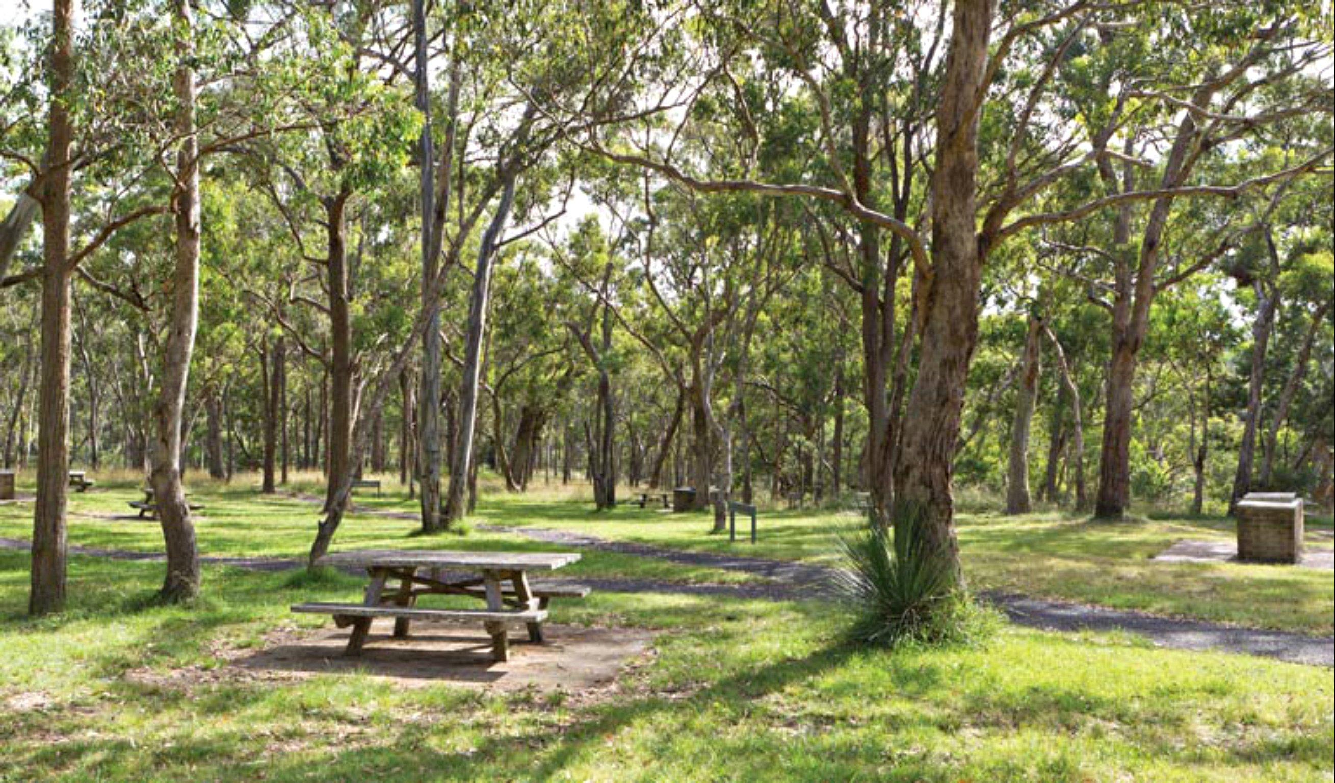 Wollomombi Gorge and Falls Picnic Area