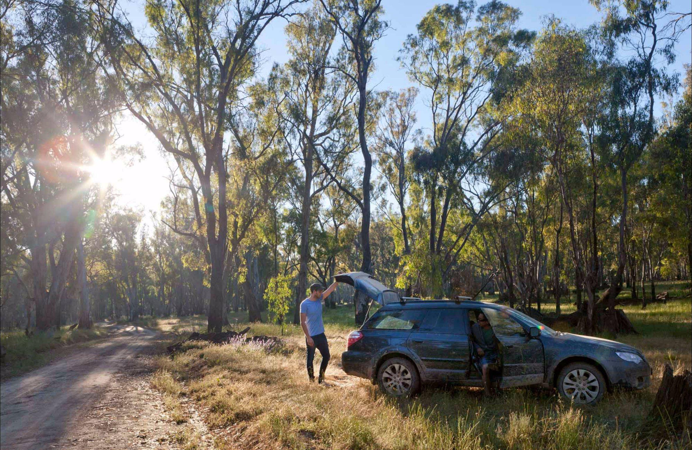 Forest Drive, Murrumbidgee Valley National Park