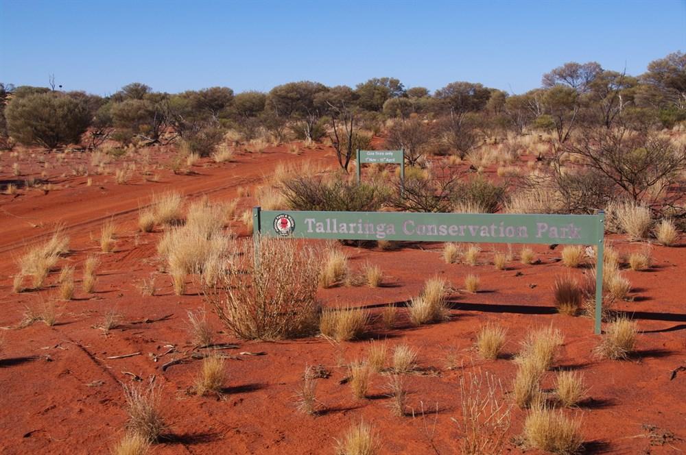 Tallaringa Conservation Park