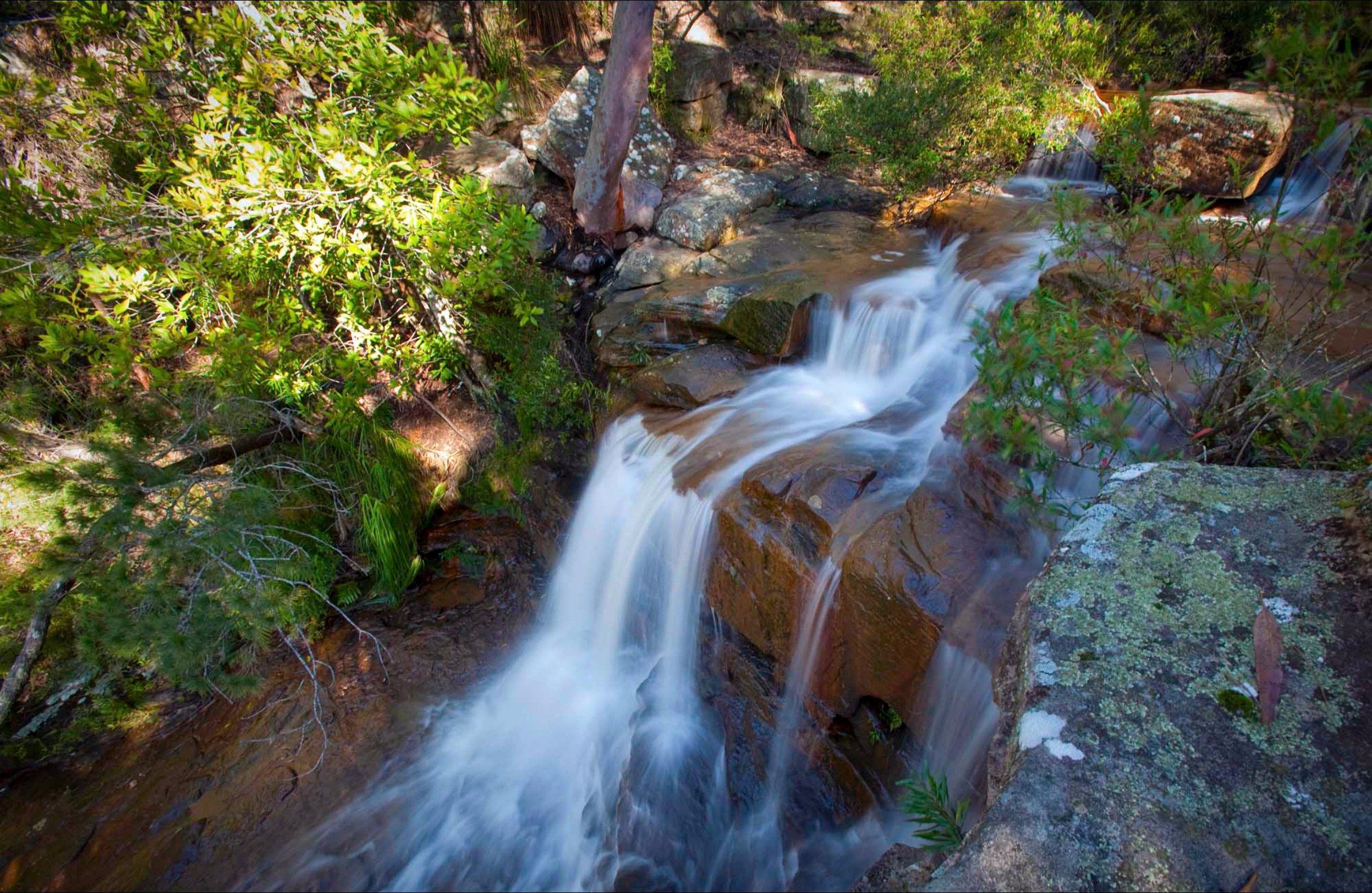 Garawarra State Conservation Area