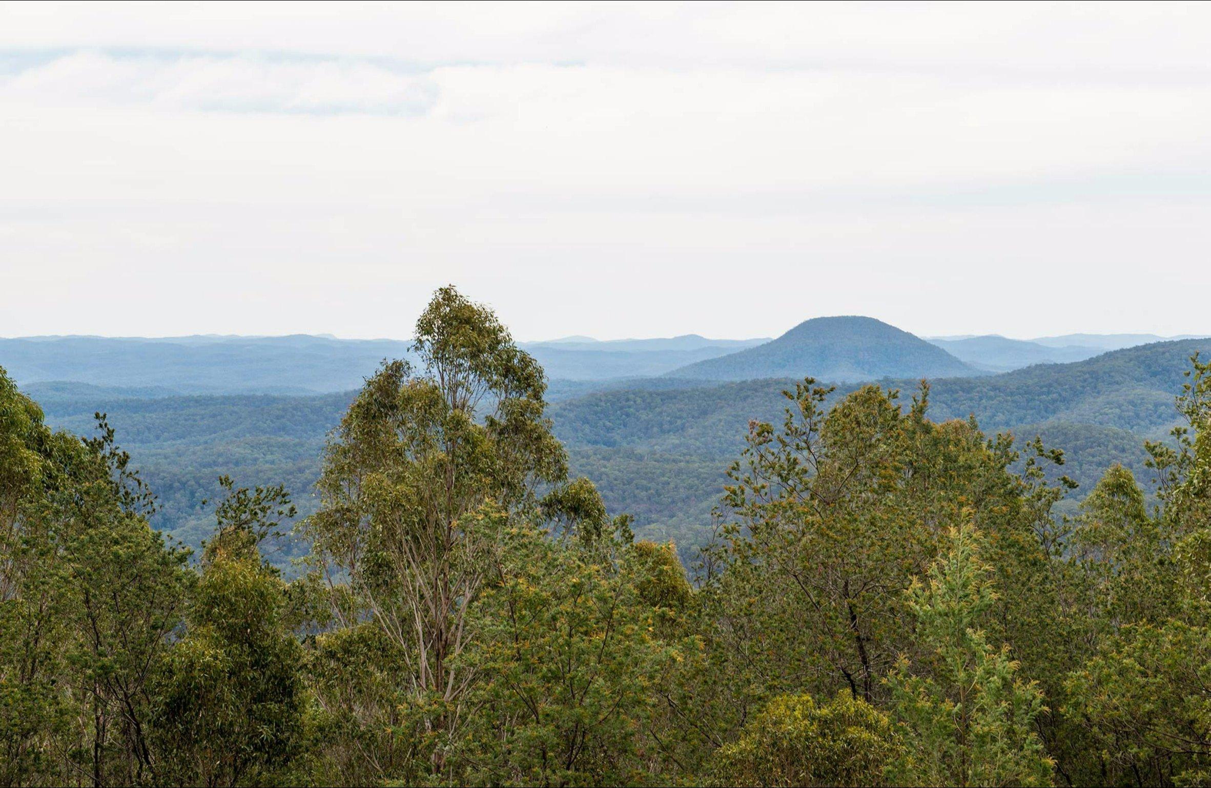 Mount Yengo lookout