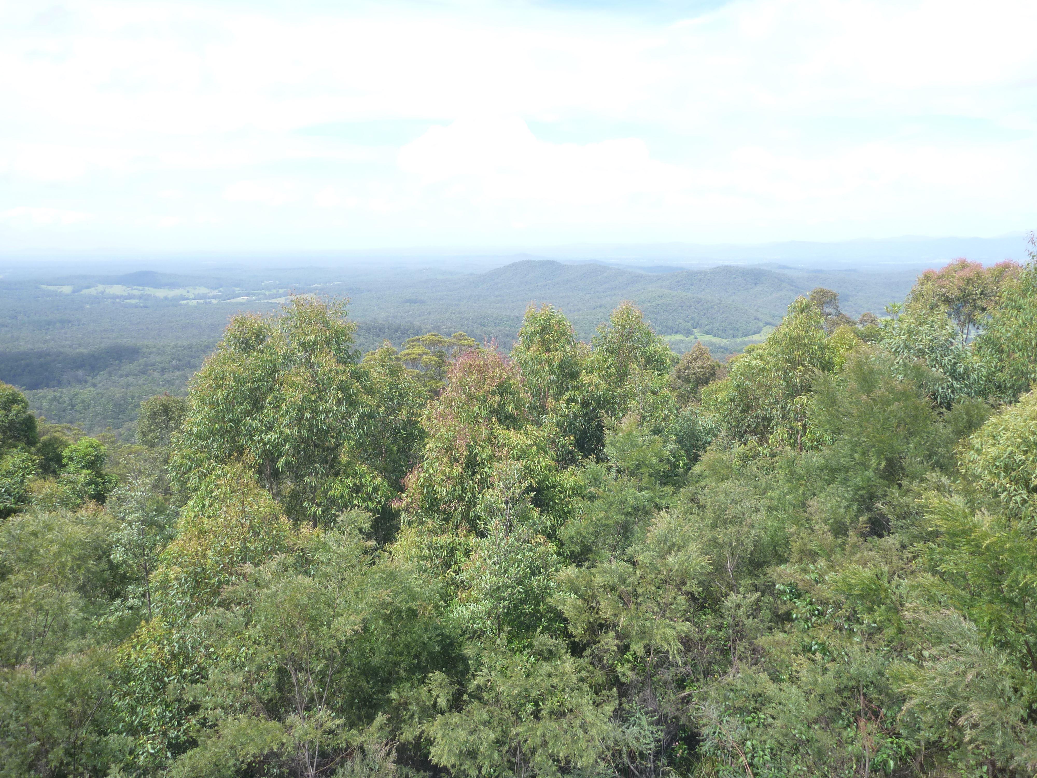 Collombatti Lookout