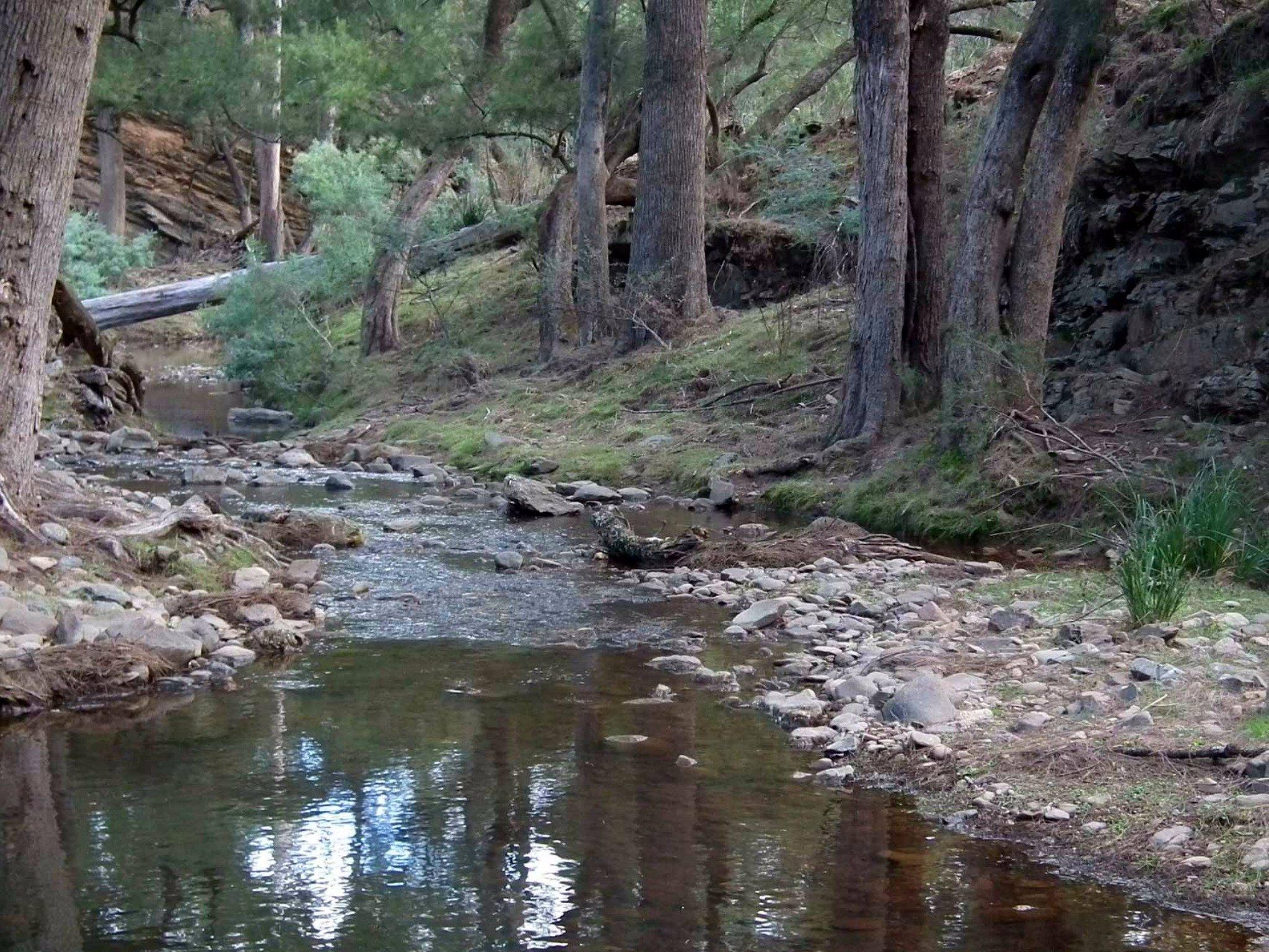 Abercrombie River National Park