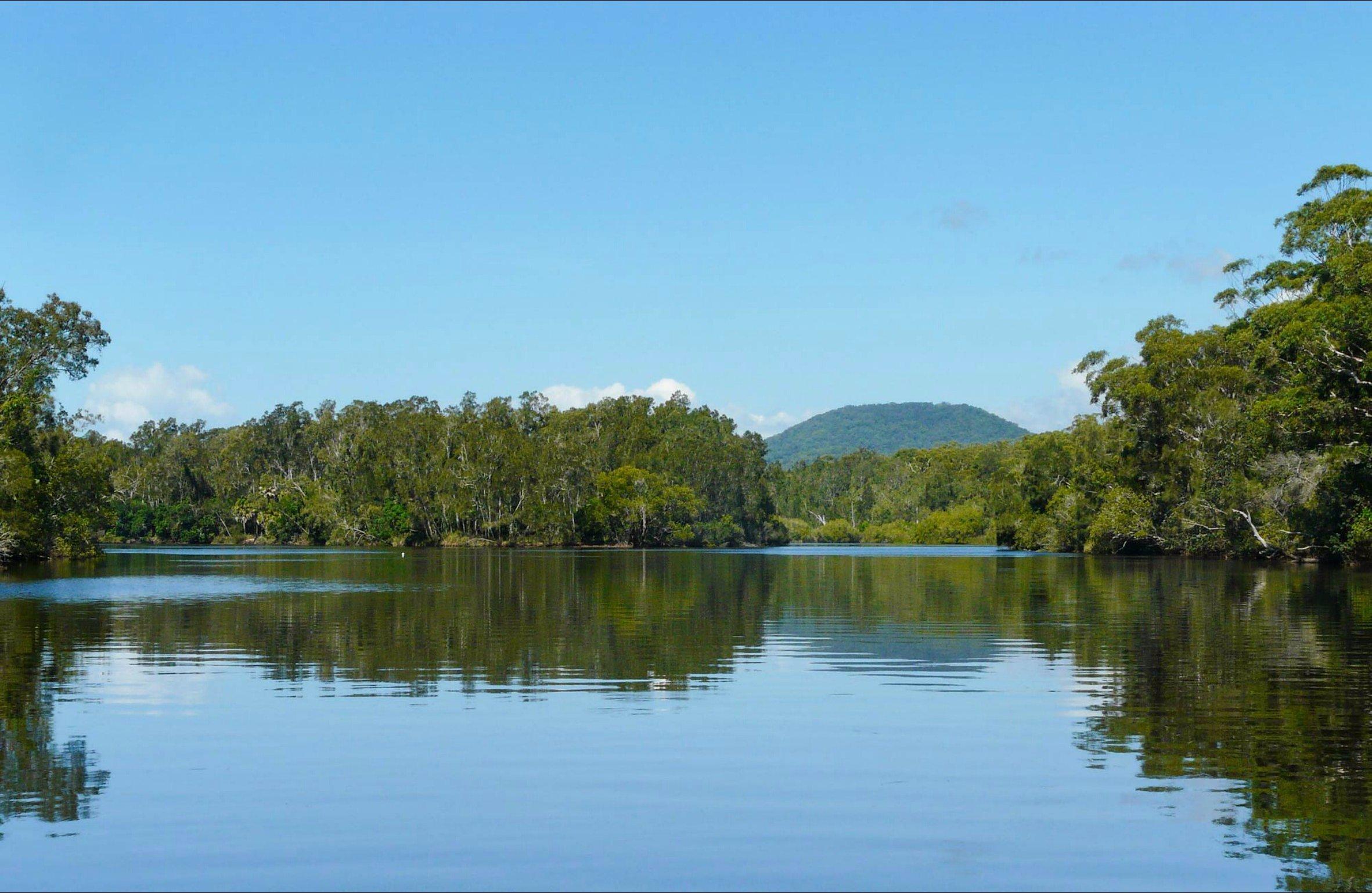 Warrell Creek