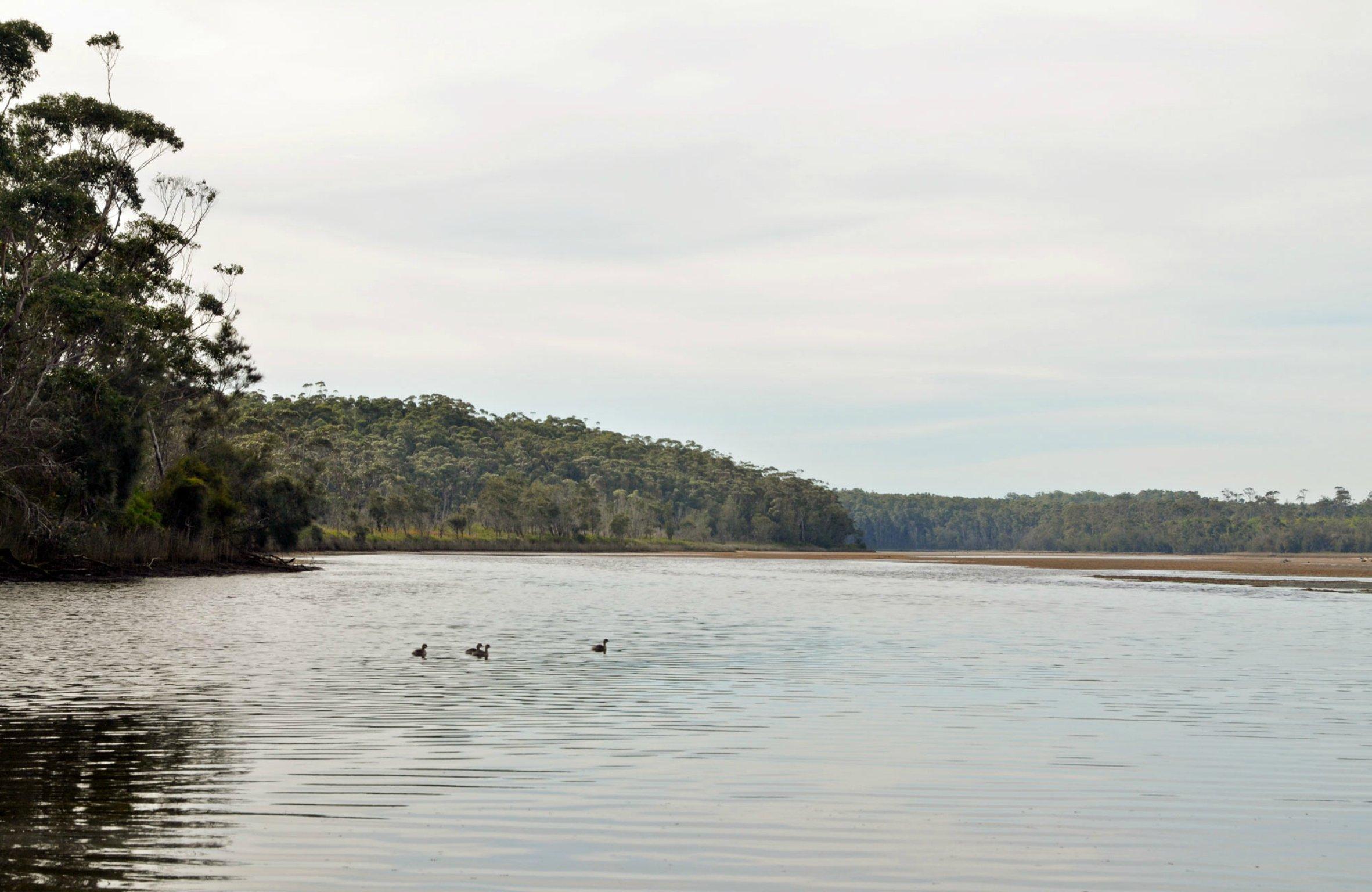 Tabourie Lake