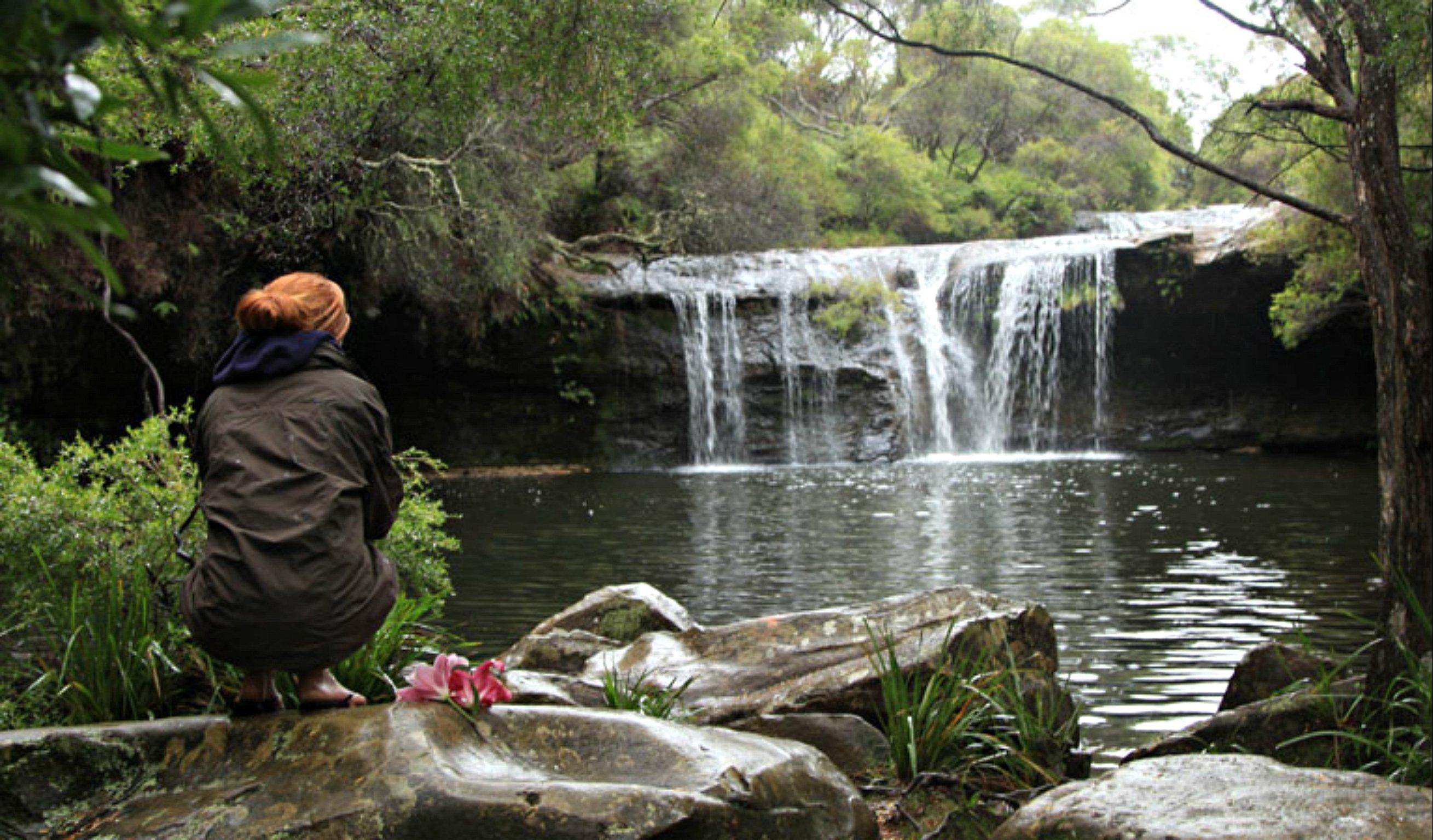 Nellies Glen Picnic Area