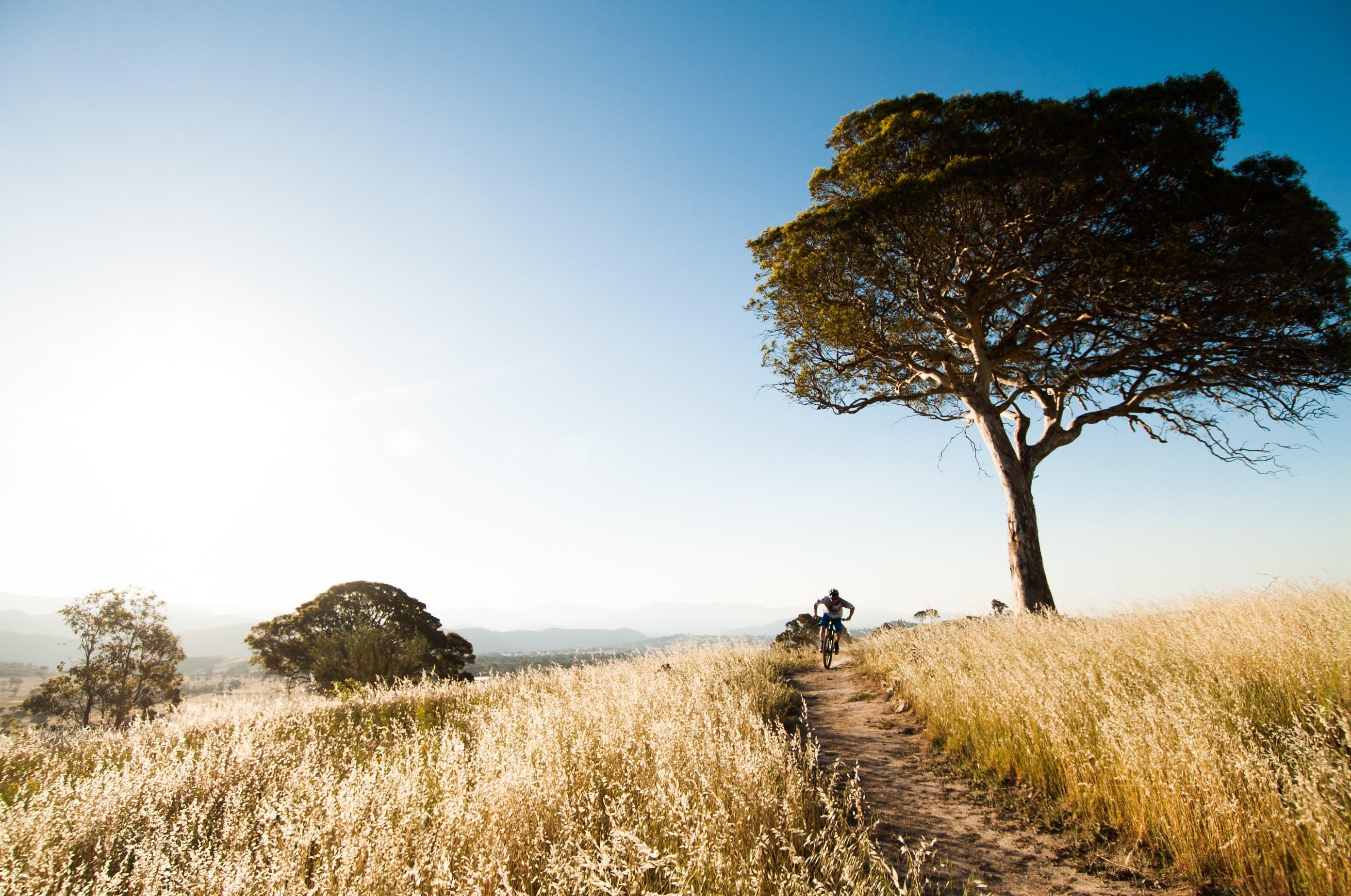 Canberra Centenary Trail