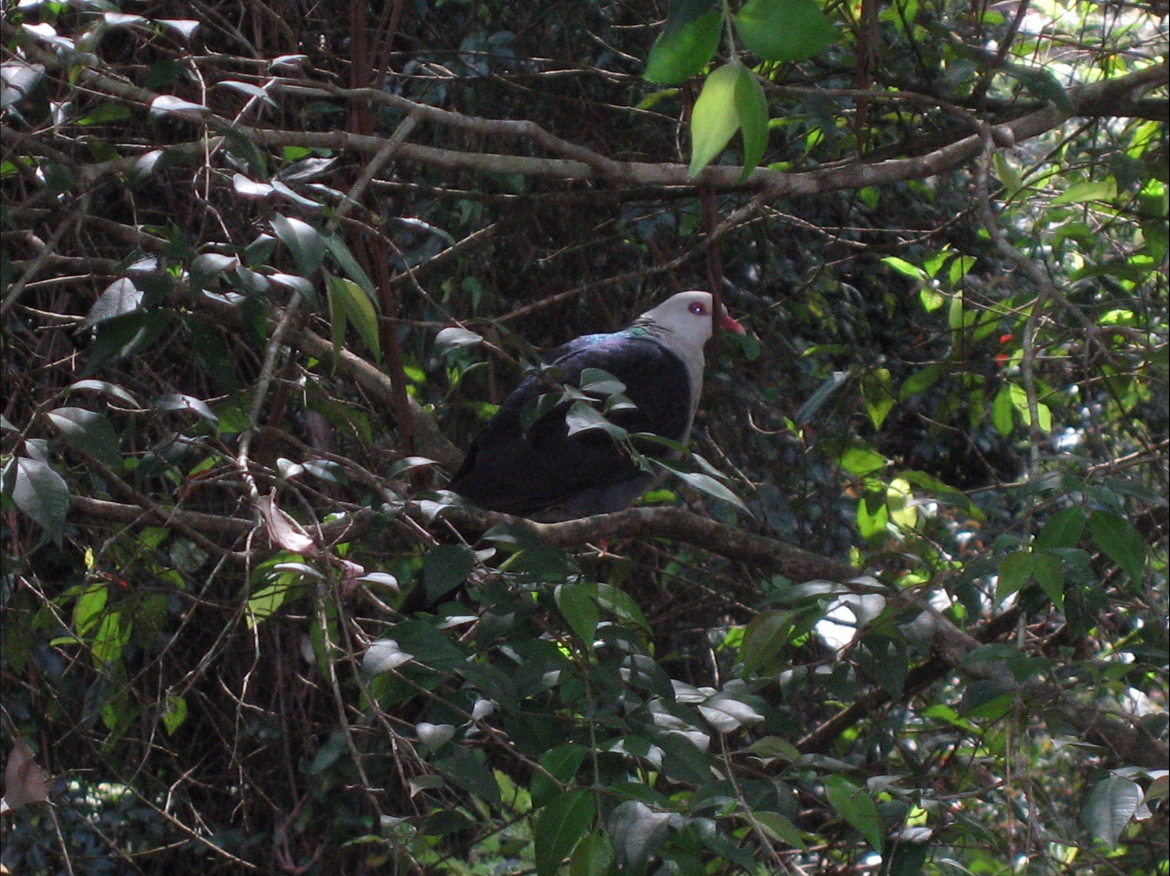 Dunns Creek Downs Nature Stay