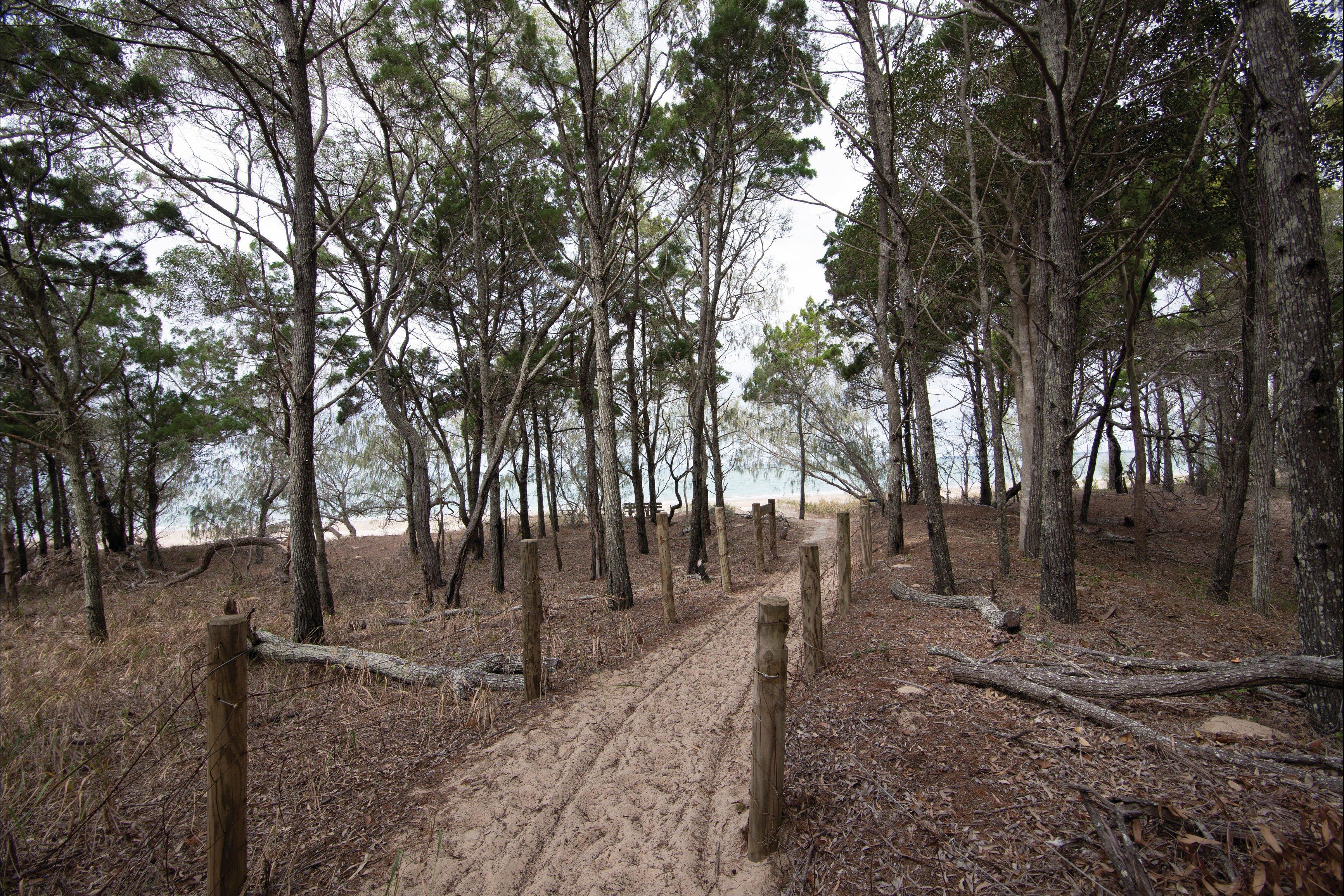 Burrum Coast National Park