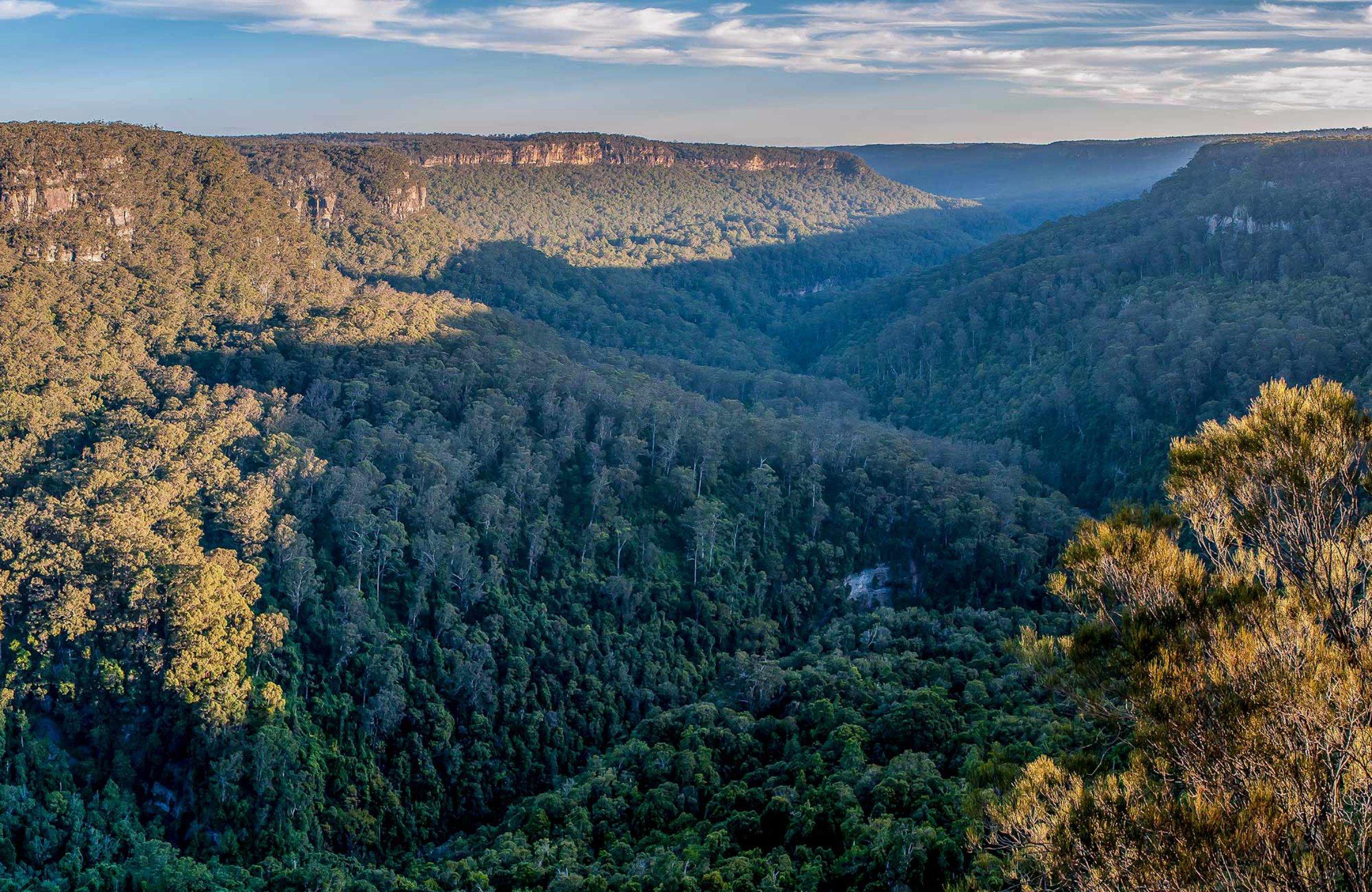 Missingham Lookout Track